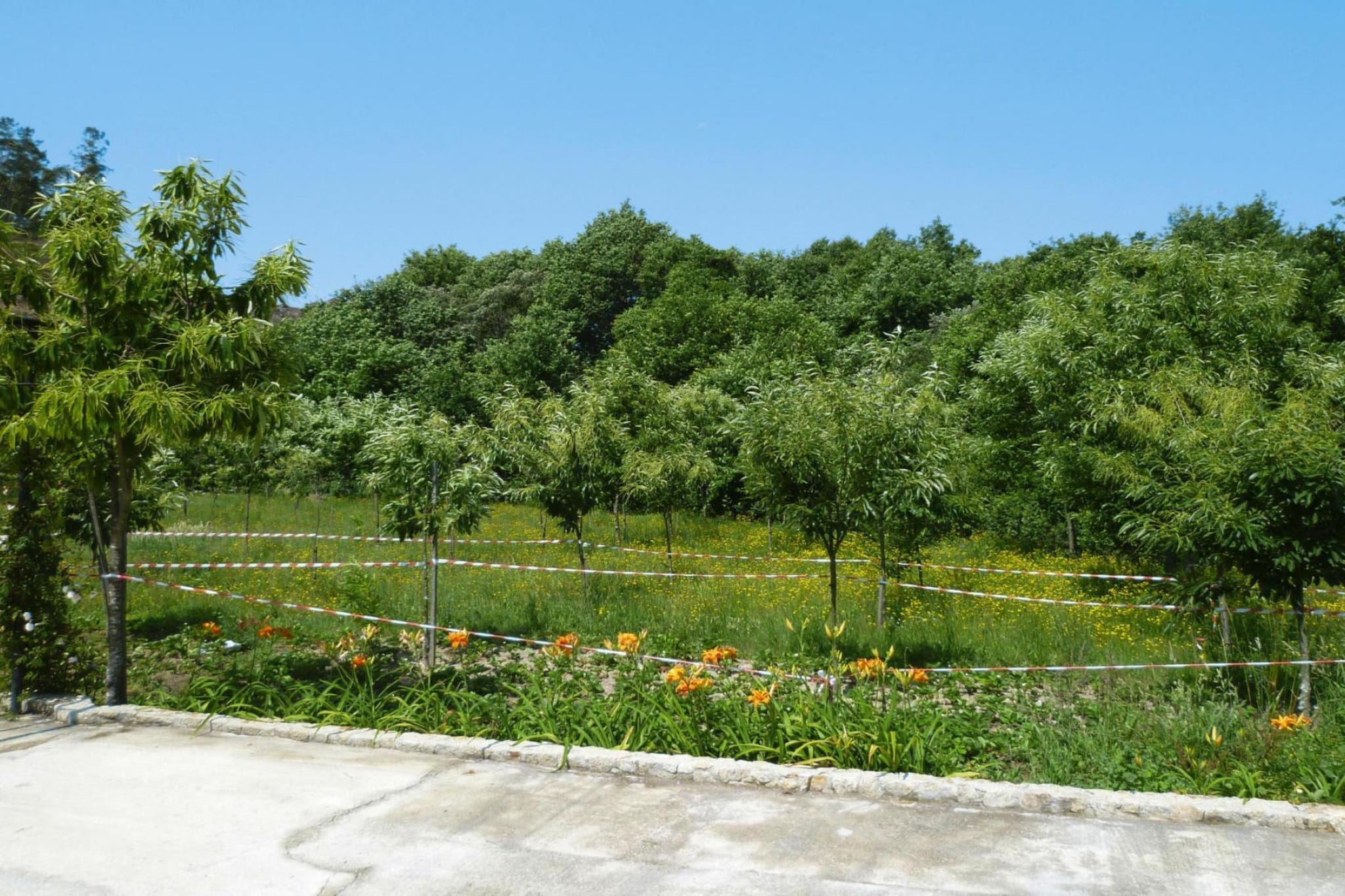 Holiday home Vale de Cambra - Gebiete Sommer 1 km