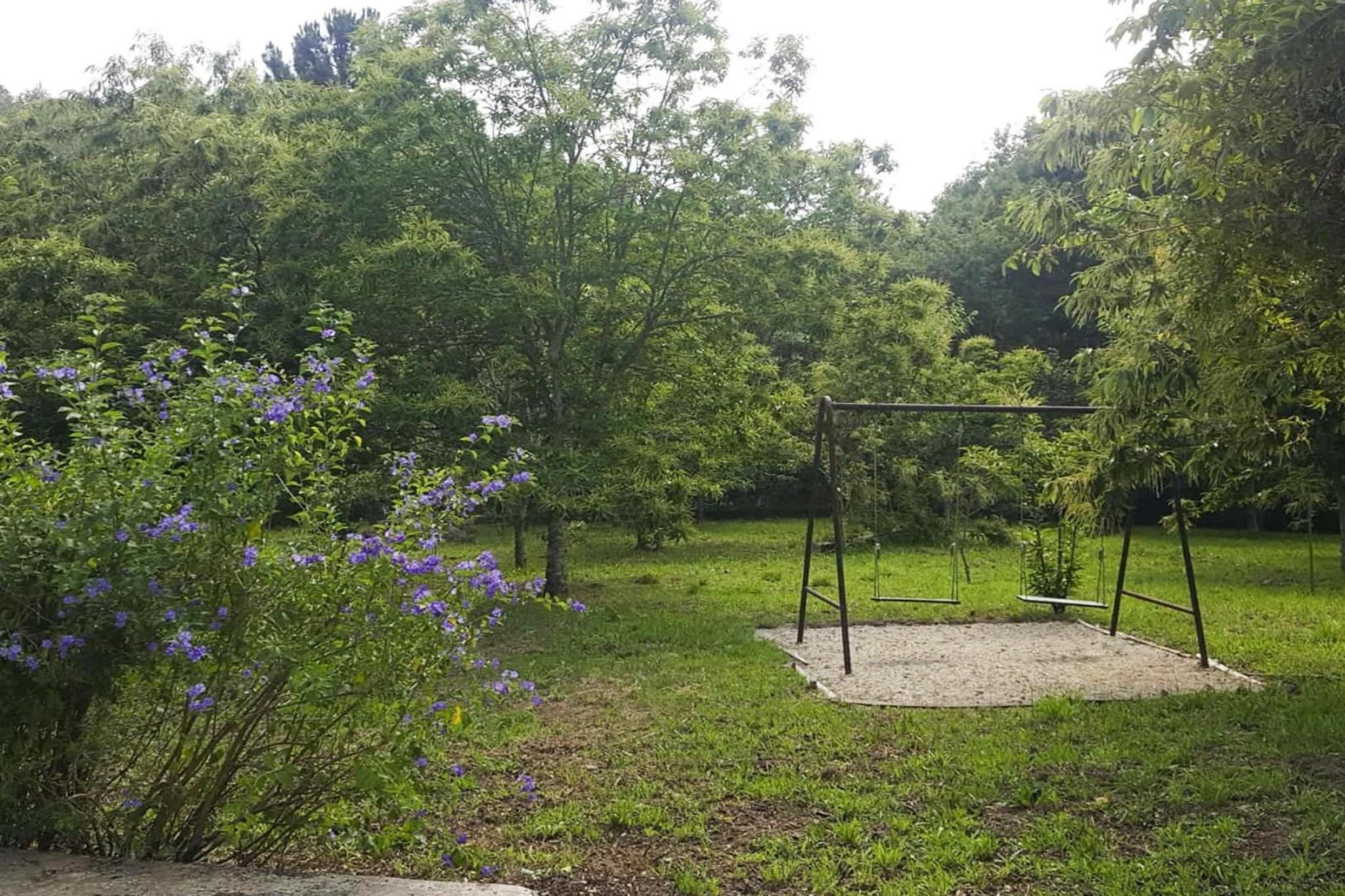 Holiday home Vale de Cambra - Garten Sommer