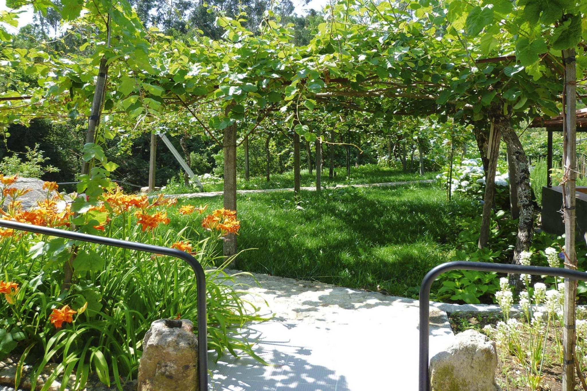 Holiday home Vale de Cambra - Garten Sommer