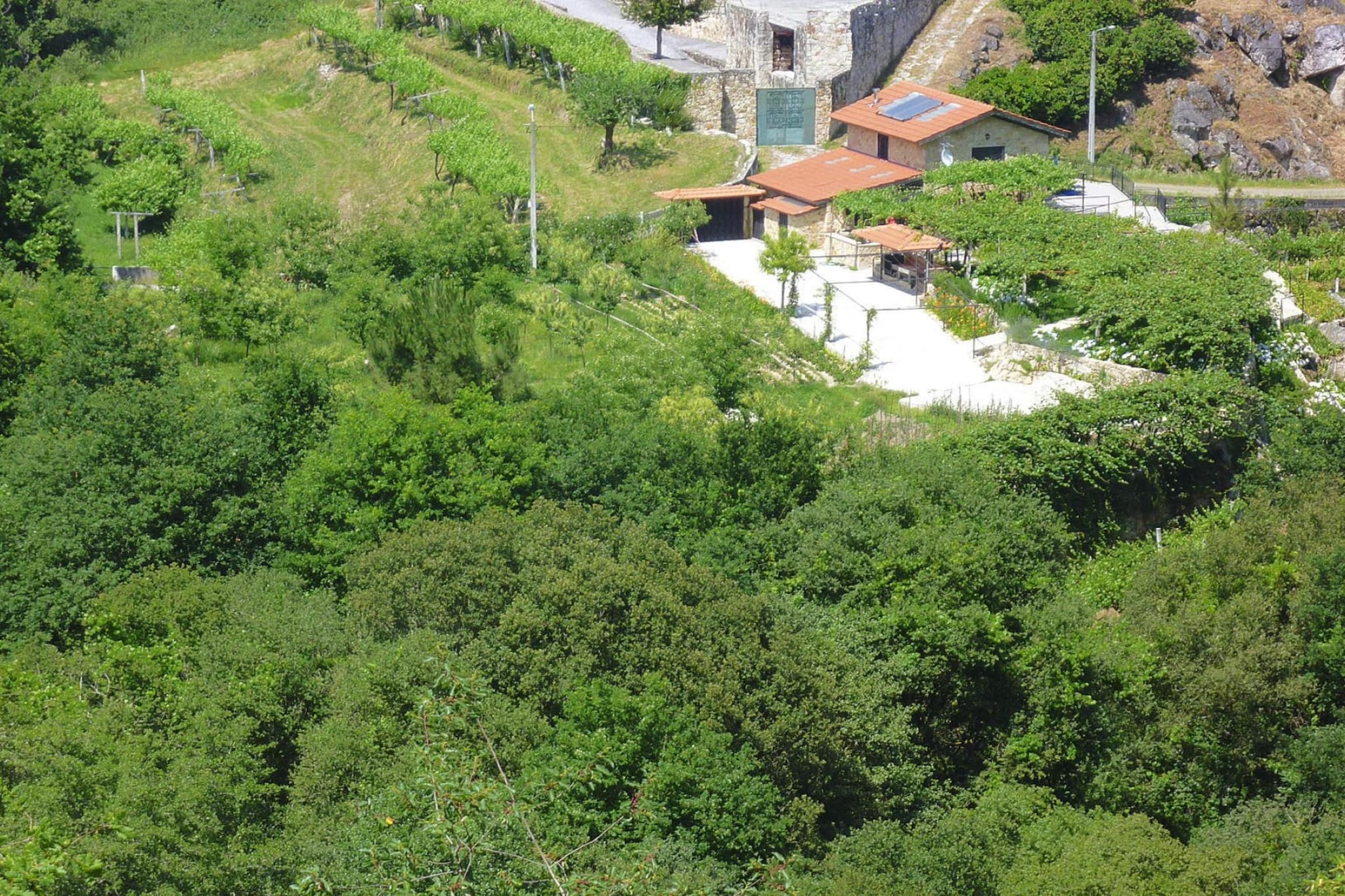 Holiday home Vale de Cambra - Gebiete Sommer 1 km
