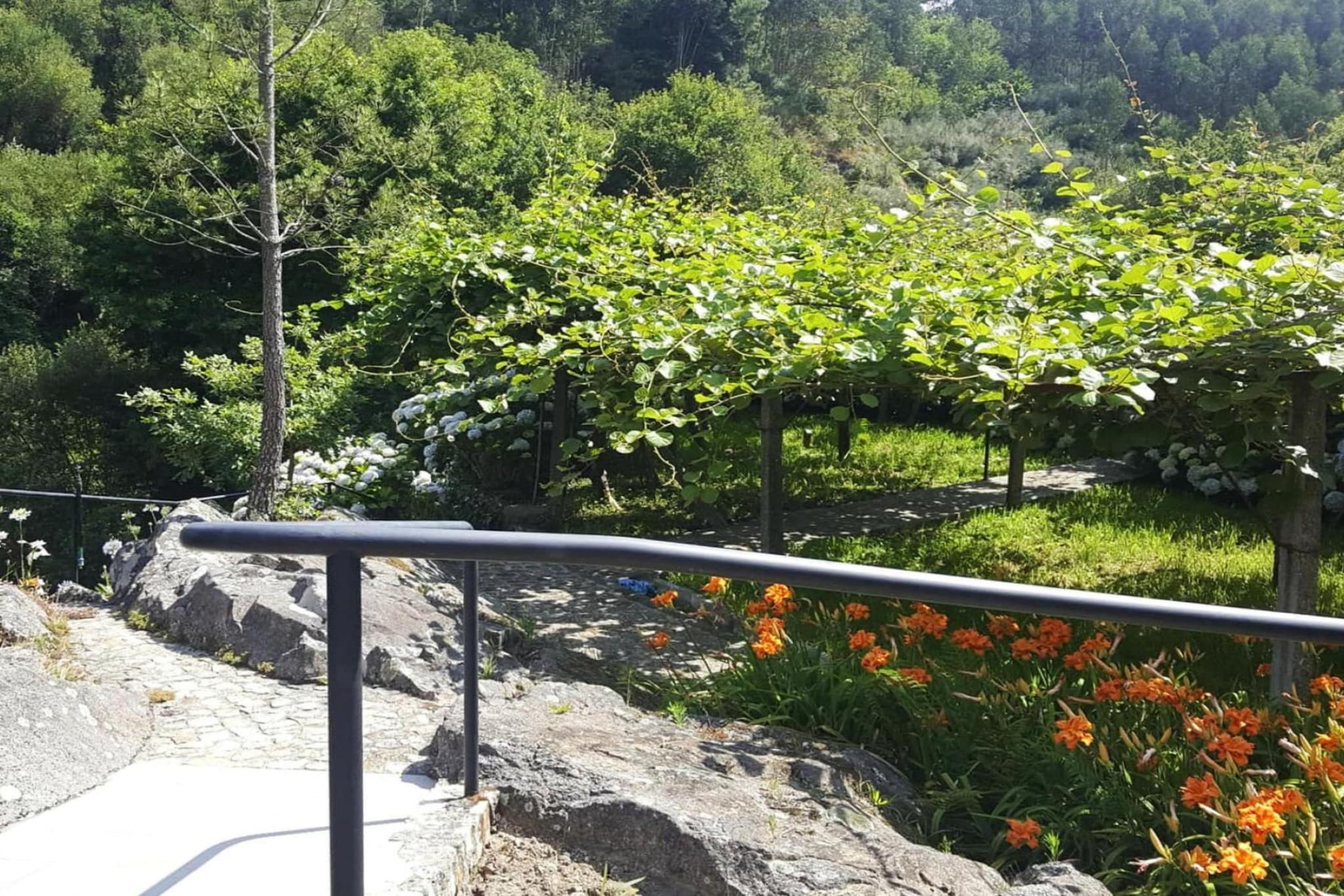 Holiday home Vale de Cambra - Gebiete Sommer 1 km