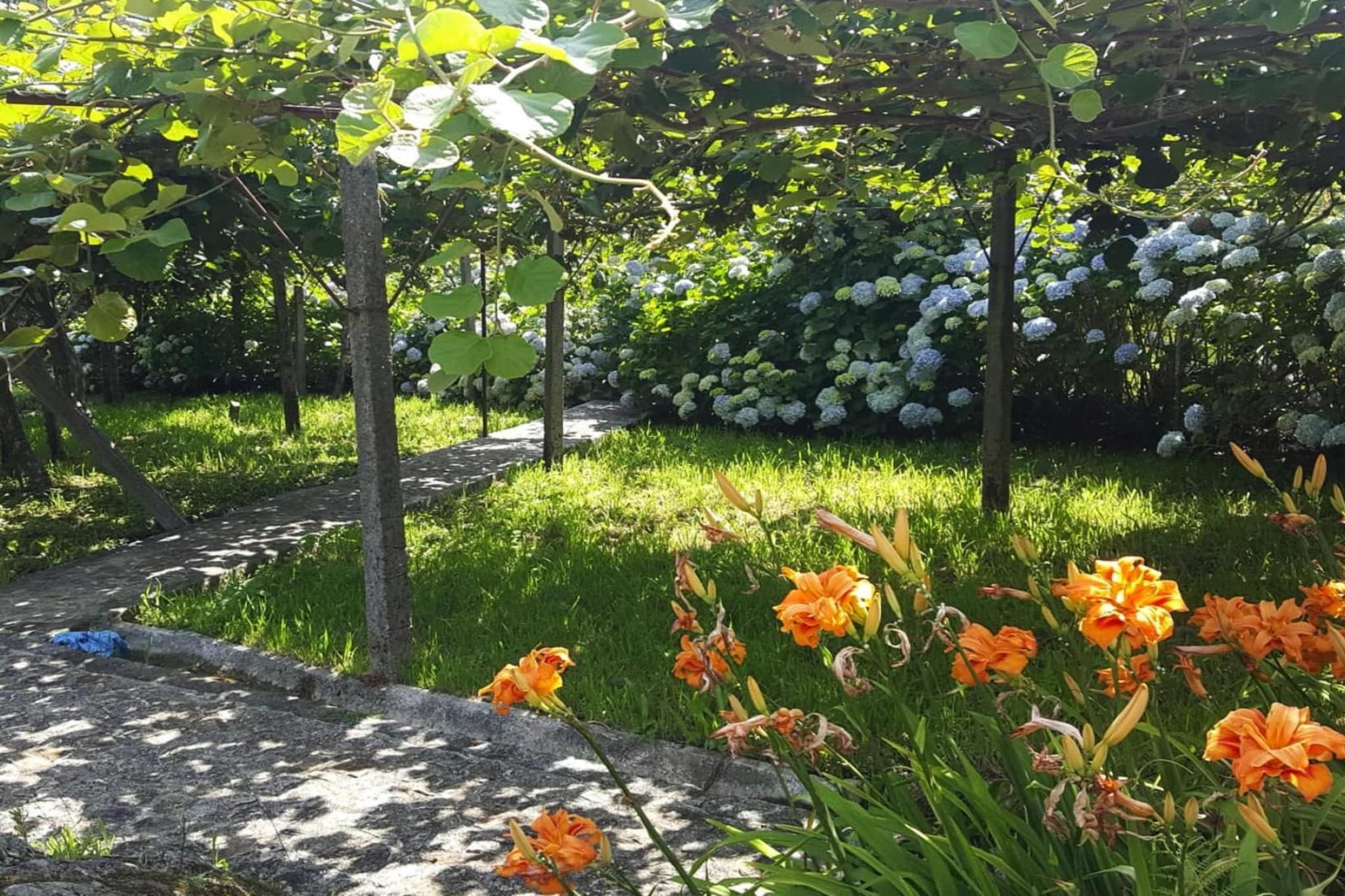 Holiday home Vale de Cambra - Garten Sommer
