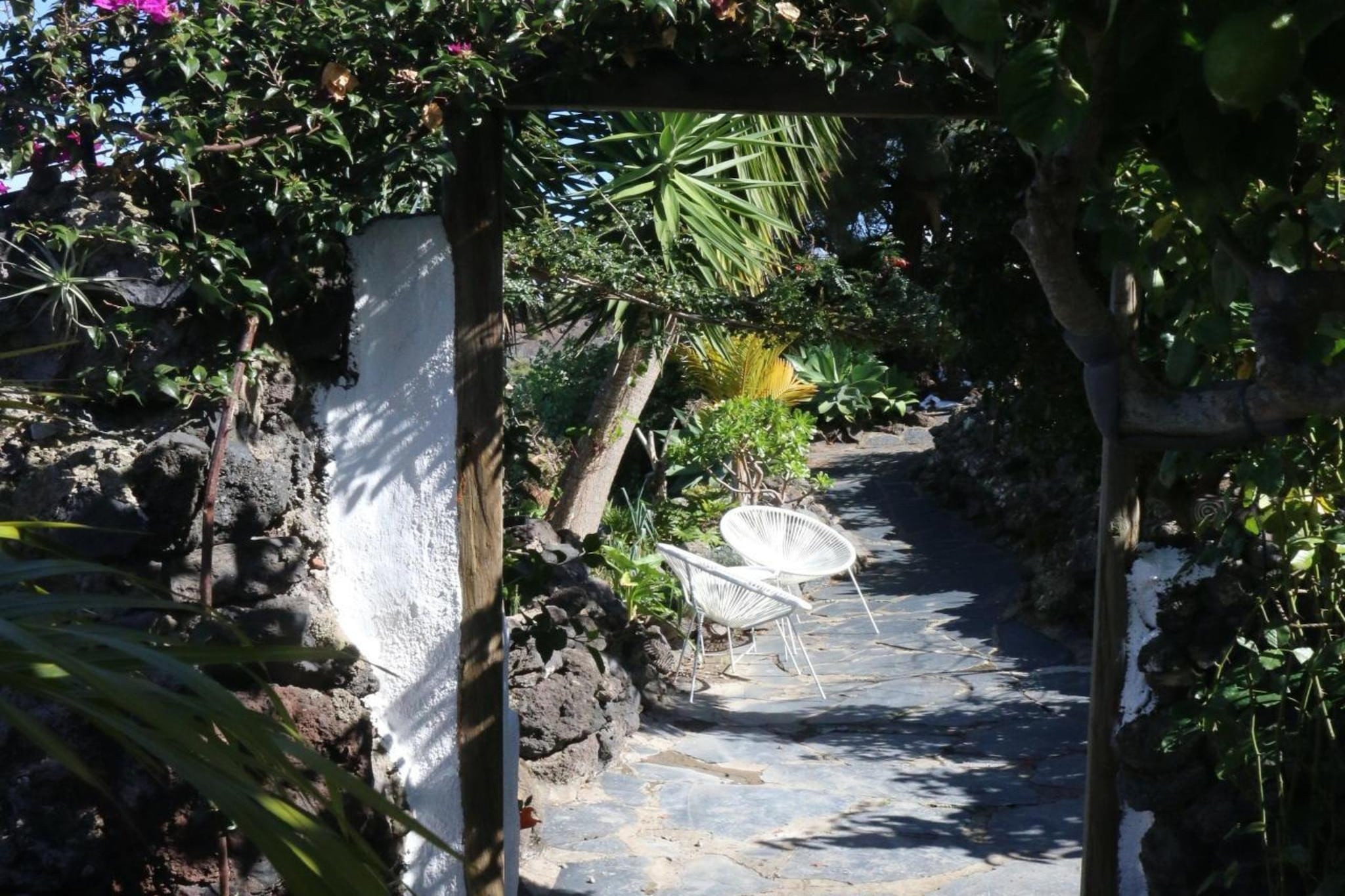 Garden Summer