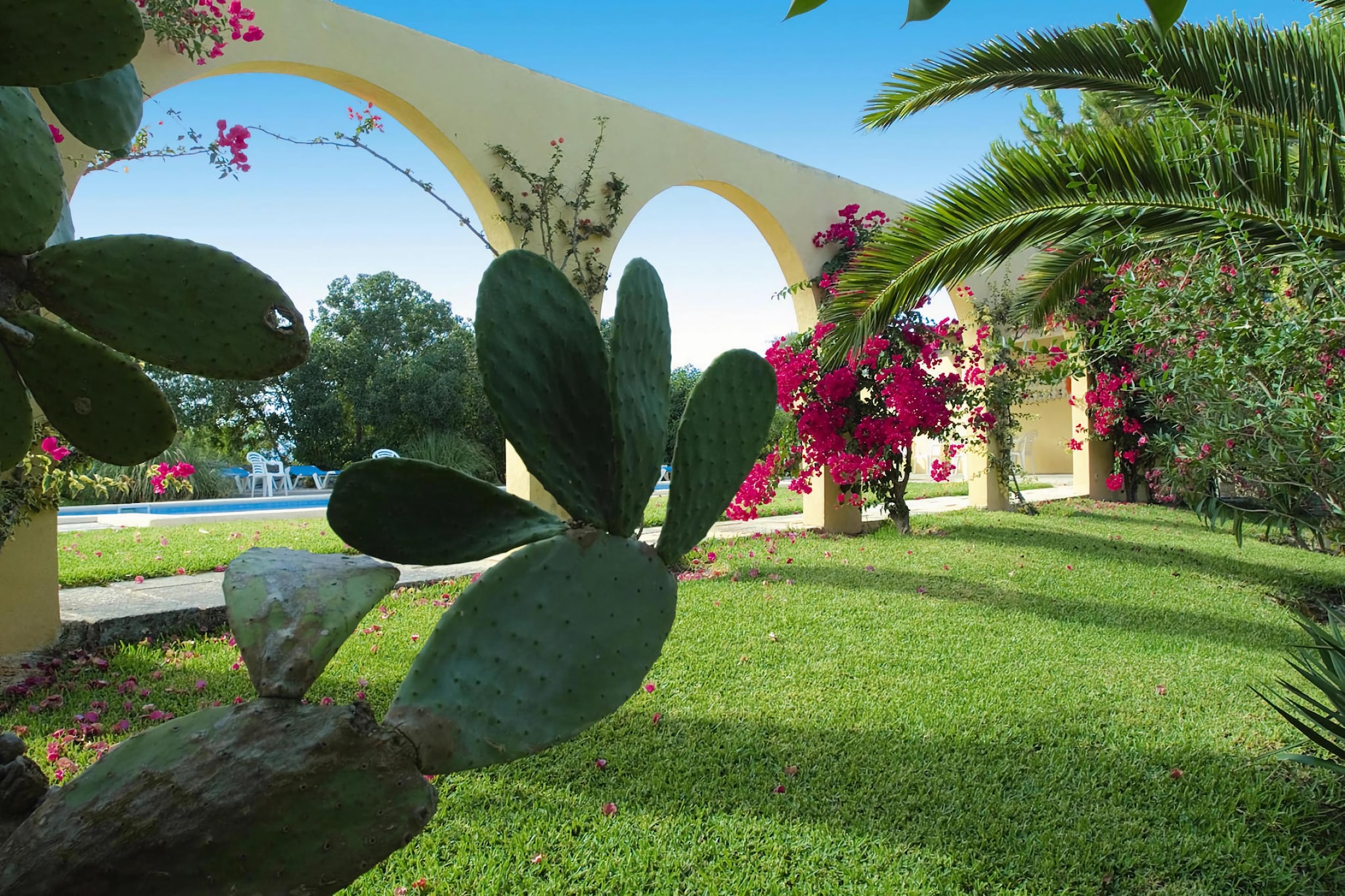 Apartamento  standar - Gardens in summer