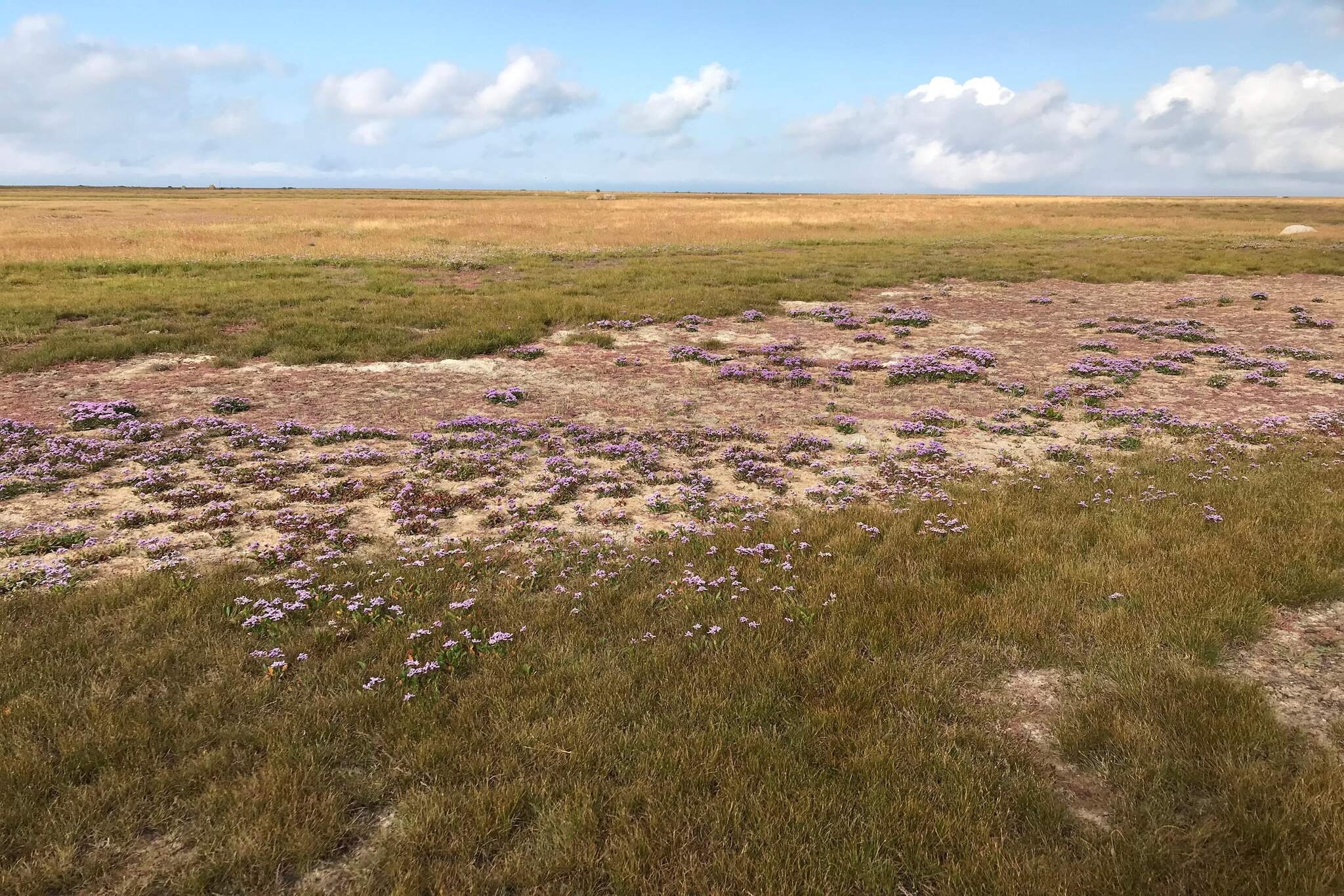 6 persoons vakantie huis in Læsø-Niet-getagd