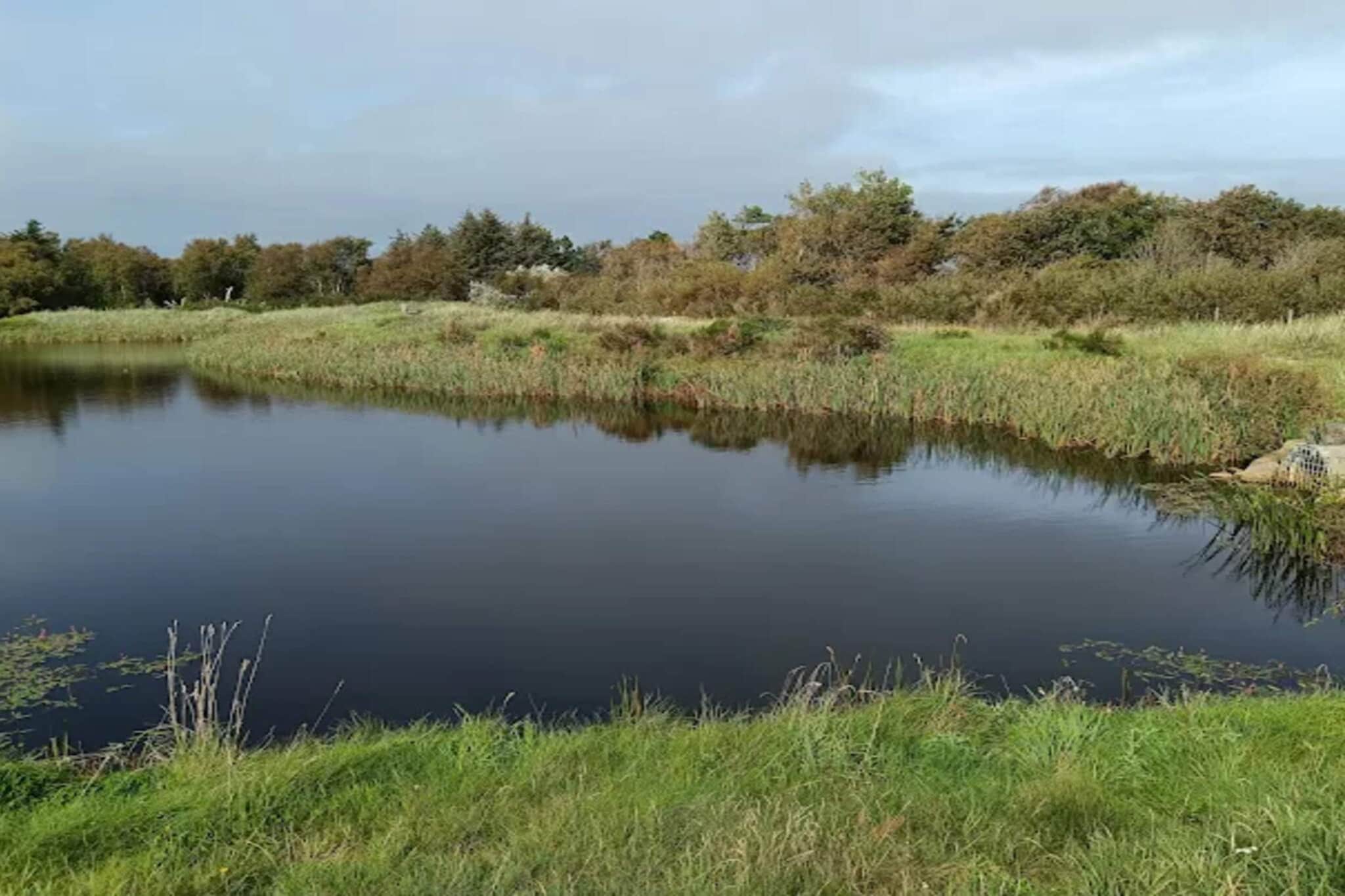 4 persoons vakantie huis in Skagen-Waterzicht