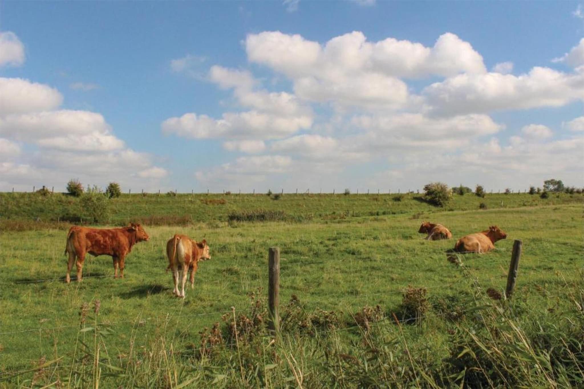 Oostkapelseweg 32 -Ooievaar-Gebieden zomer 20km