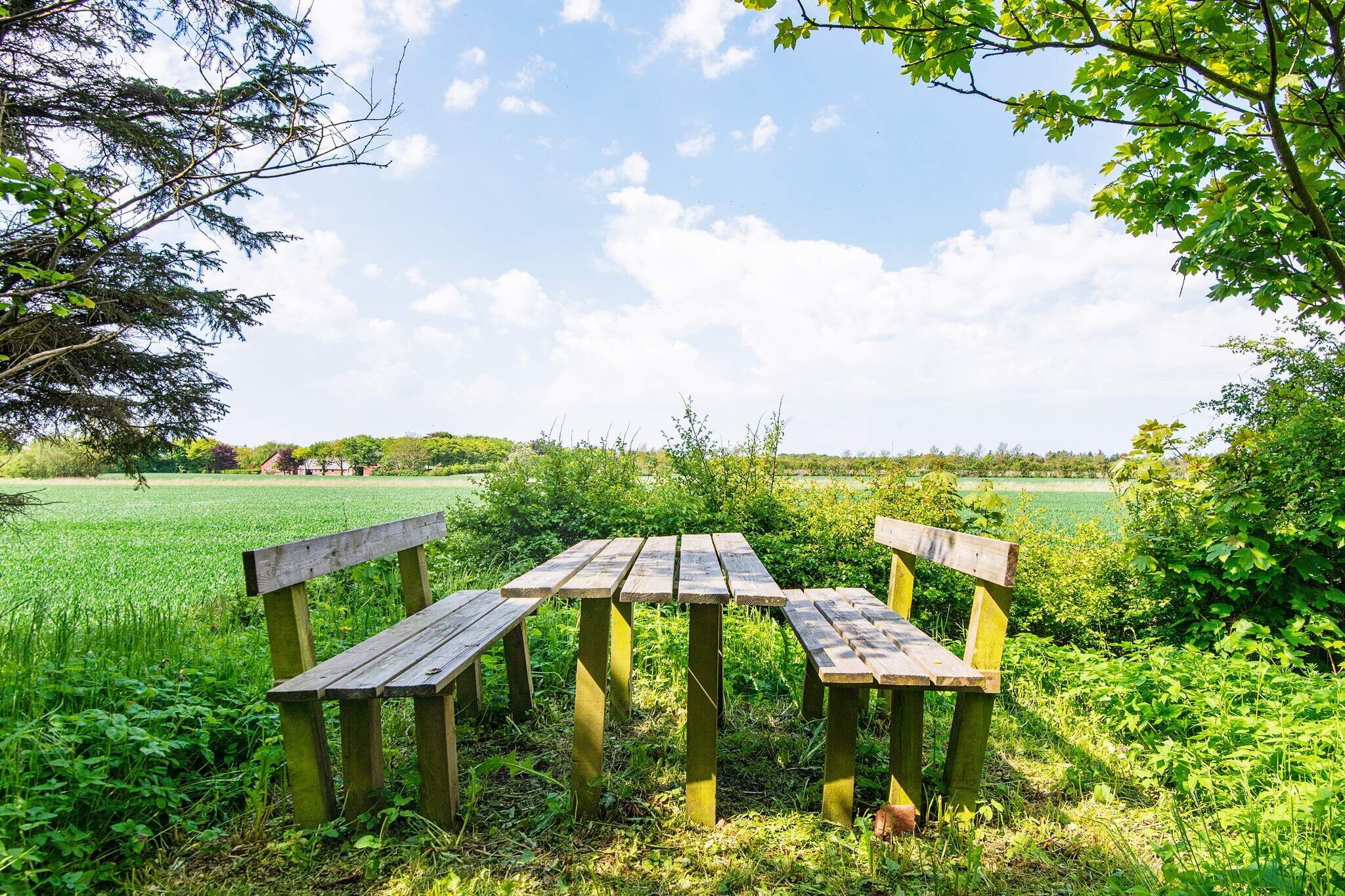 Maison de vacances pour 20 a Ulfborg - Vue