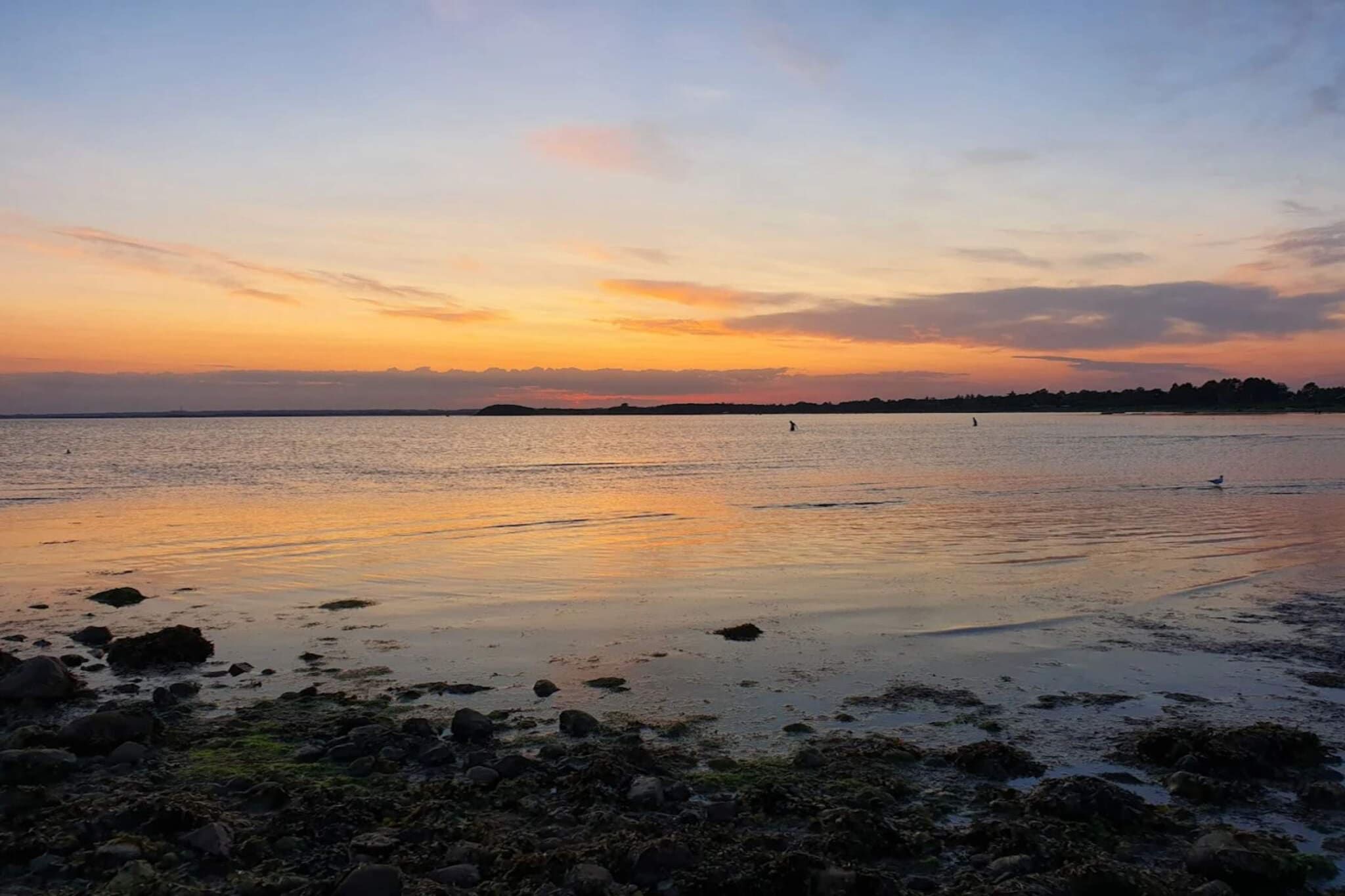 4 persoons vakantie huis in Knebel - Waterzicht