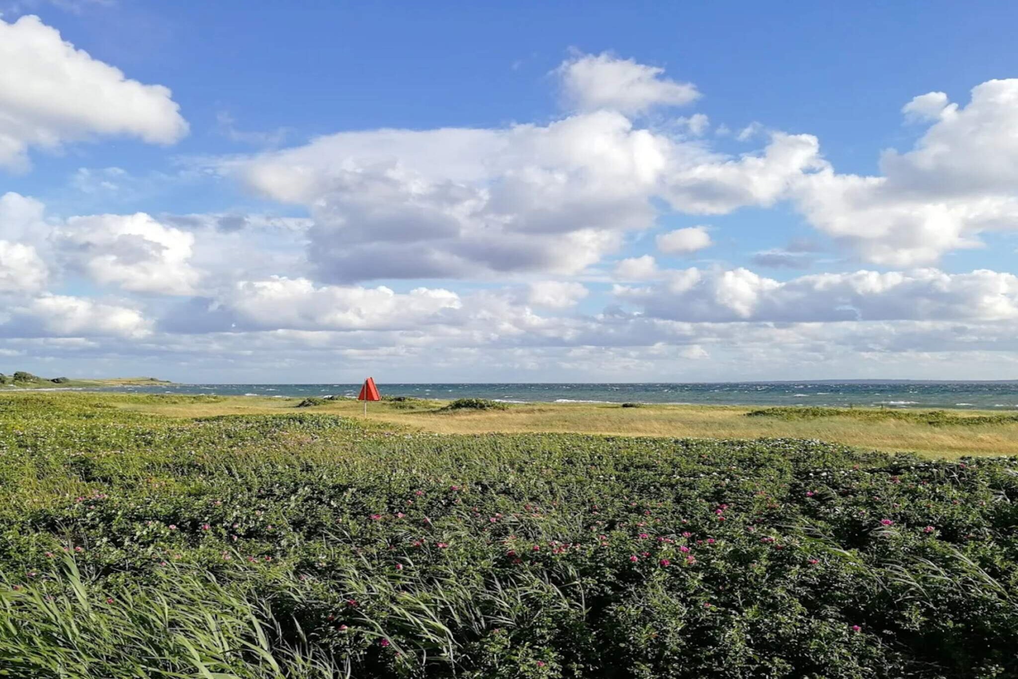 4 person holiday home in Knebel - Water view
