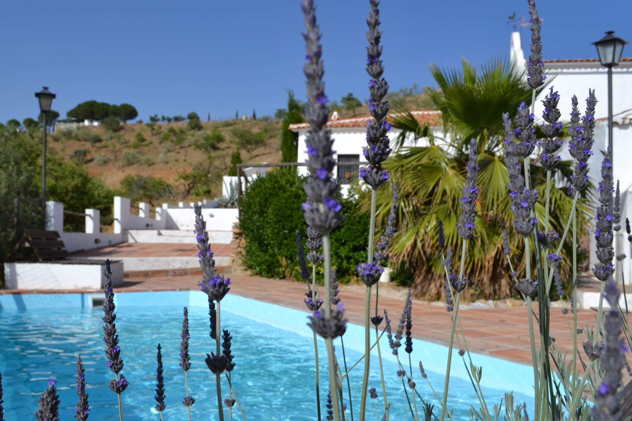 Mooie vakantiewoning in Almogía met een zwembad