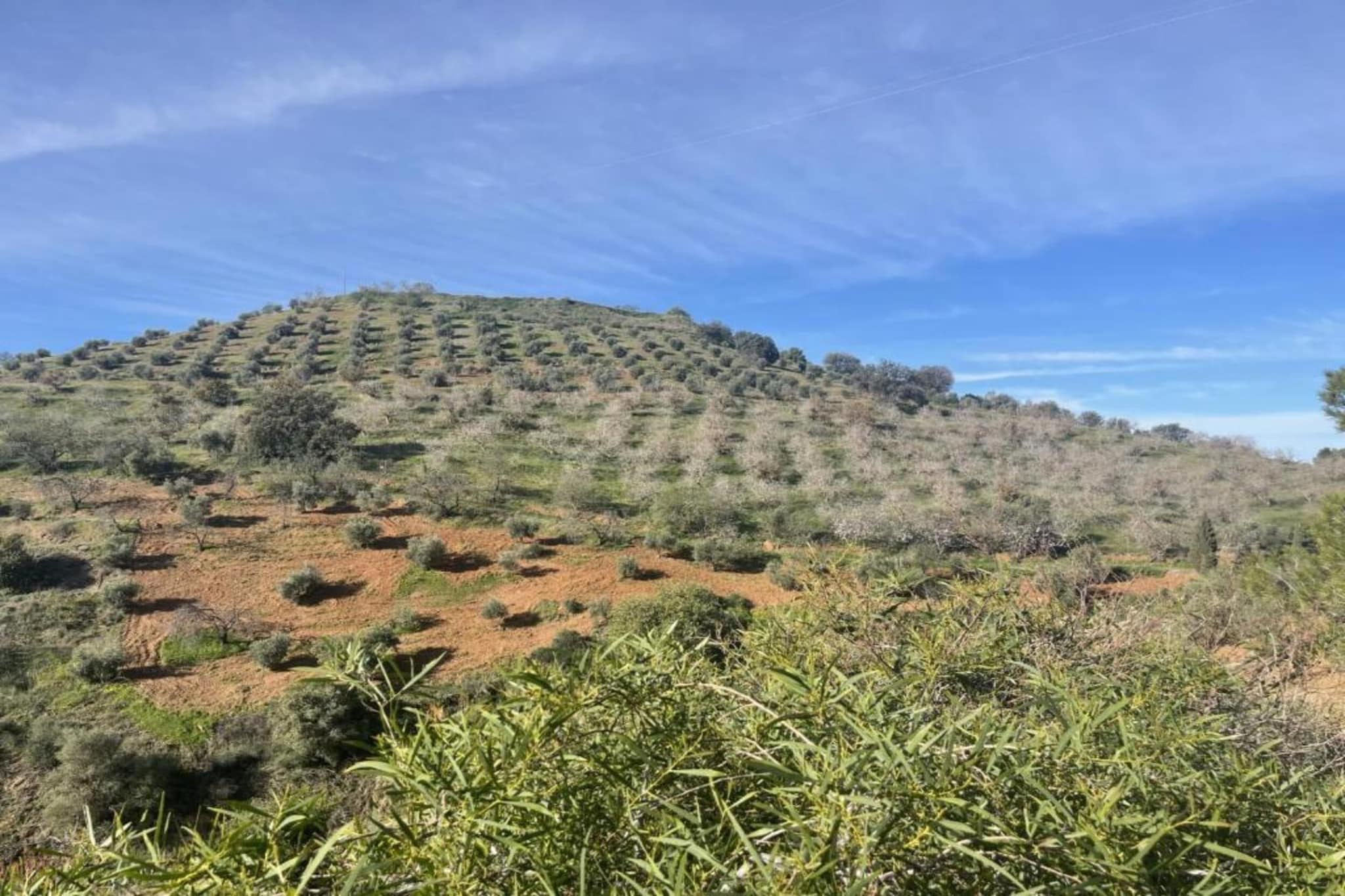 Casa el Cielo-Zones d'été à 5 km