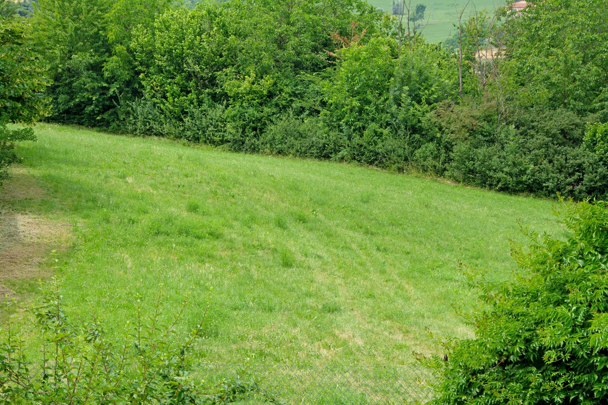 Casale Adriano Country House-Areas summer 1km