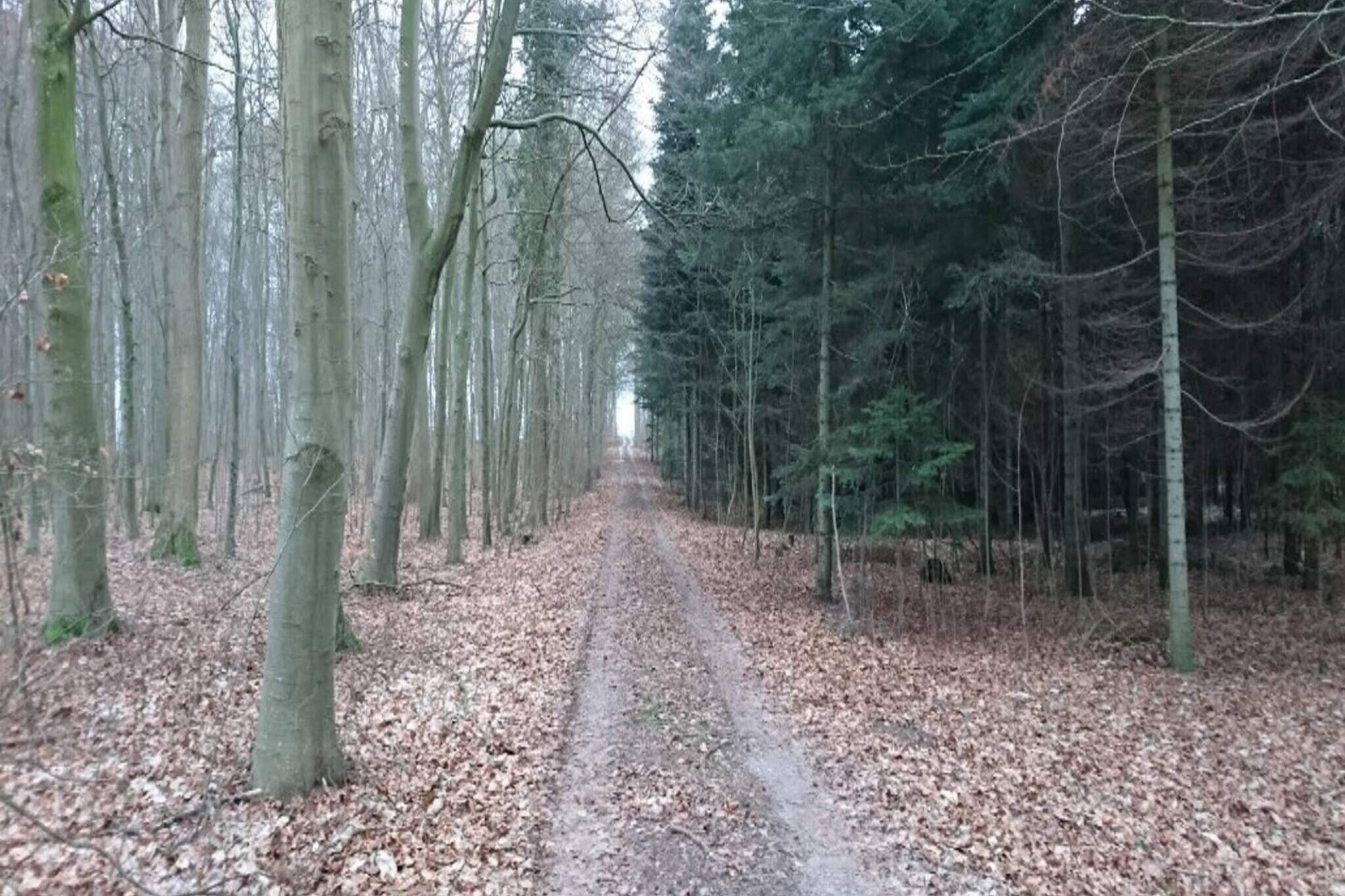 4 persoons vakantie huis in Væggerløse-Buitenlucht