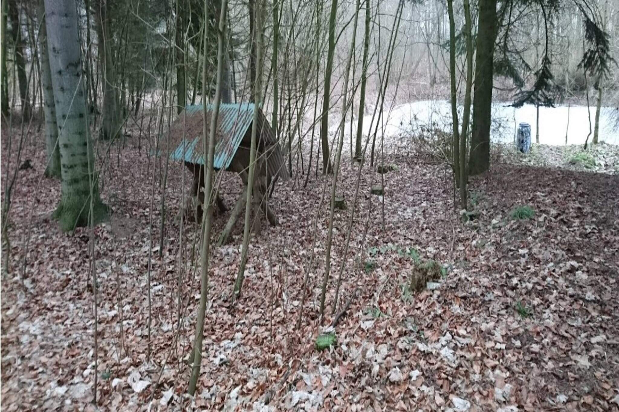 4 persoons vakantie huis in Væggerløse-Buitenlucht