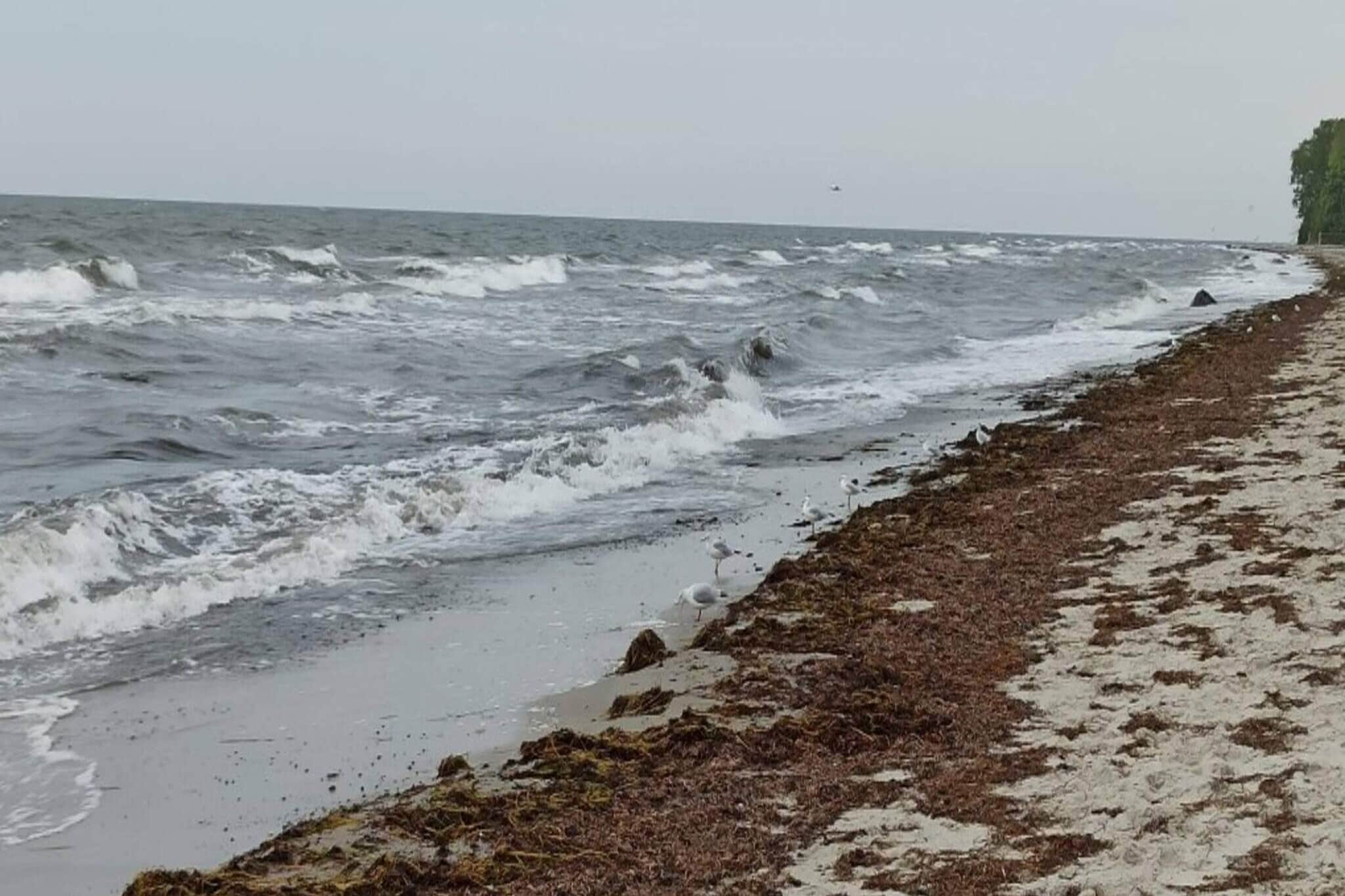 4 persoons vakantie huis in Væggerløse-Waterzicht