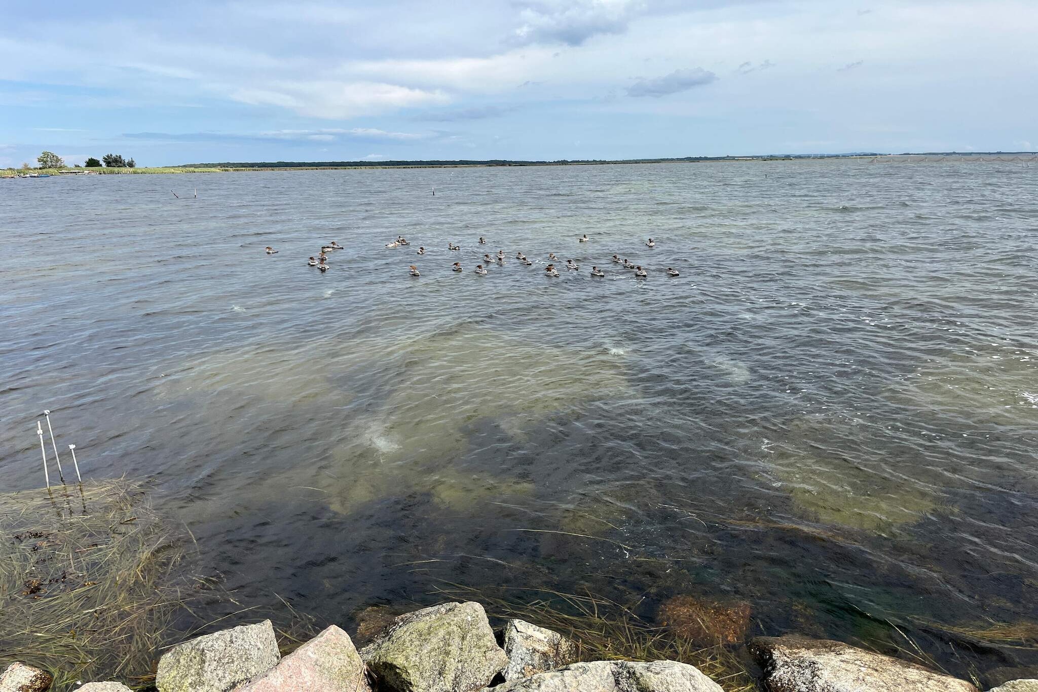 10 Personen Ferienhaus in Stege-Wasserblick