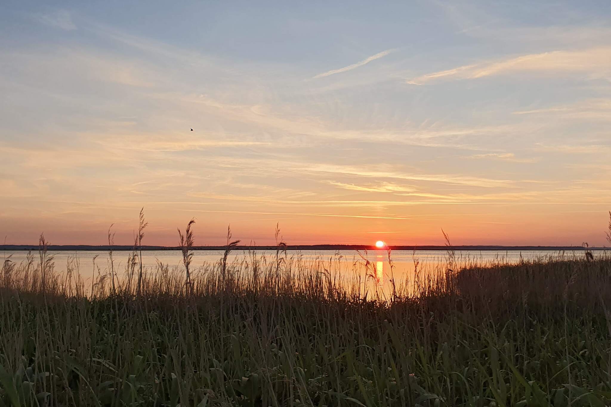 10 Personen Ferienhaus in Stege-Wasserblick