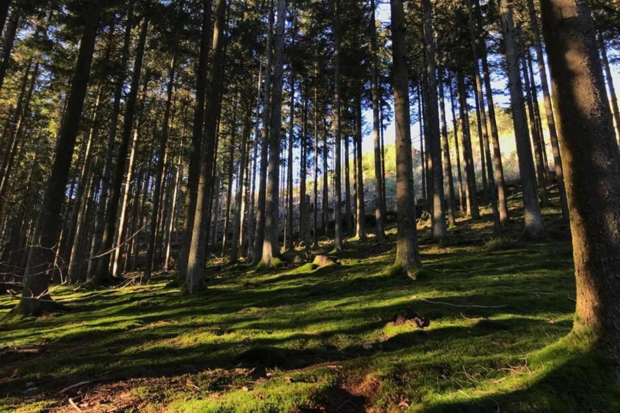 Superbe habitation pour 4 adultes-Gebieden zomer 5km