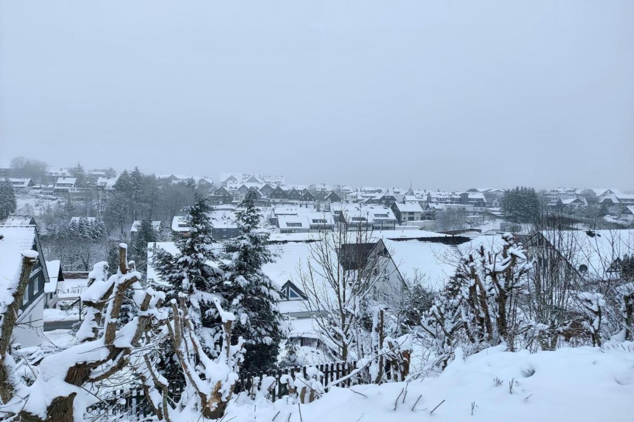 Flora-Gebied winter 20km