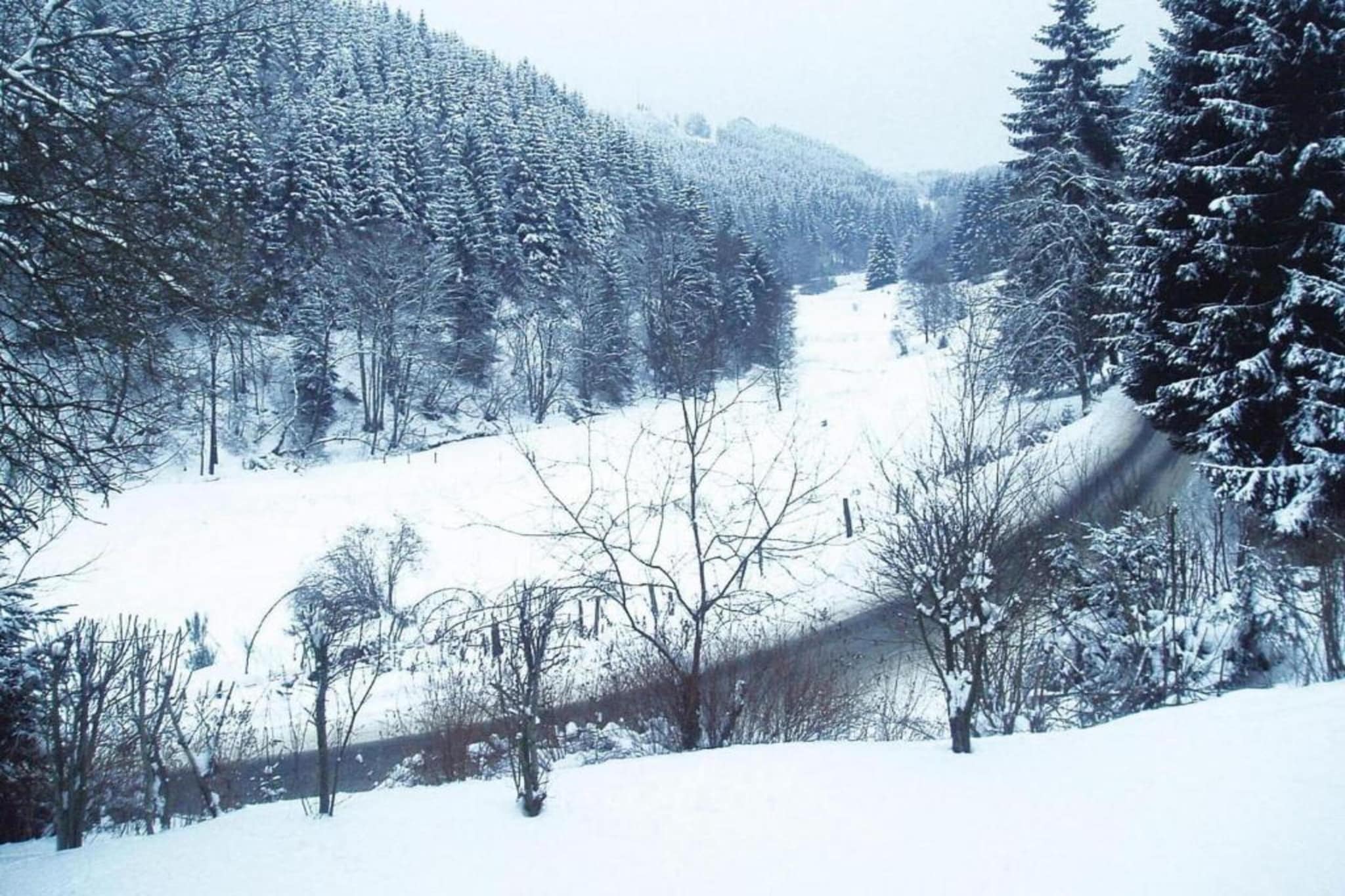 Flora - Gebied winter 20km
