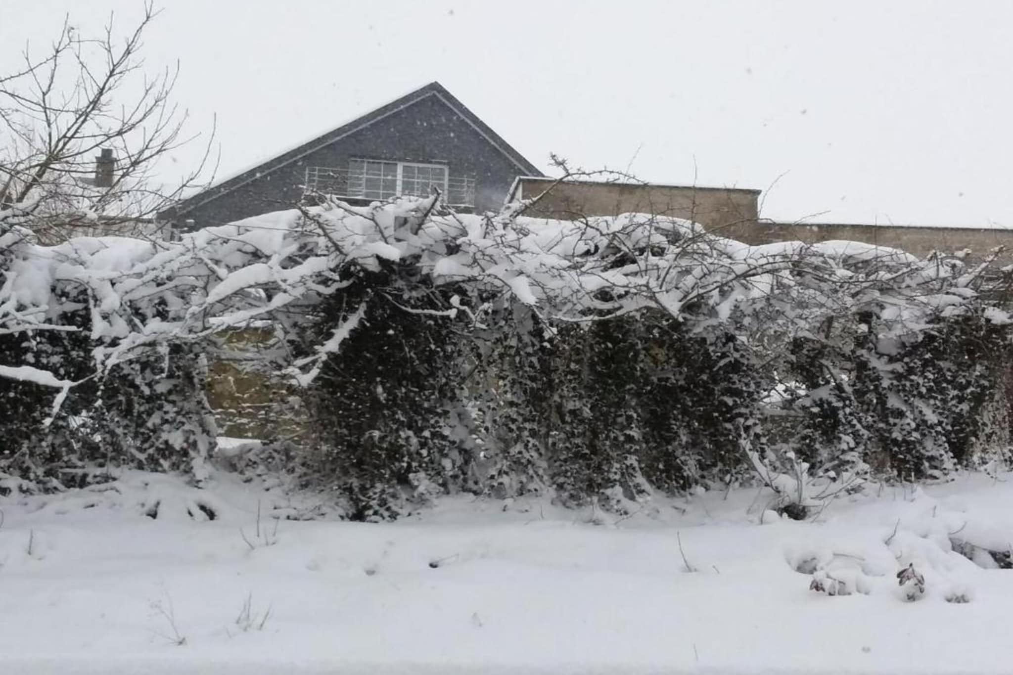 Residence Maxime 6 personnes-Gebied winter 20km