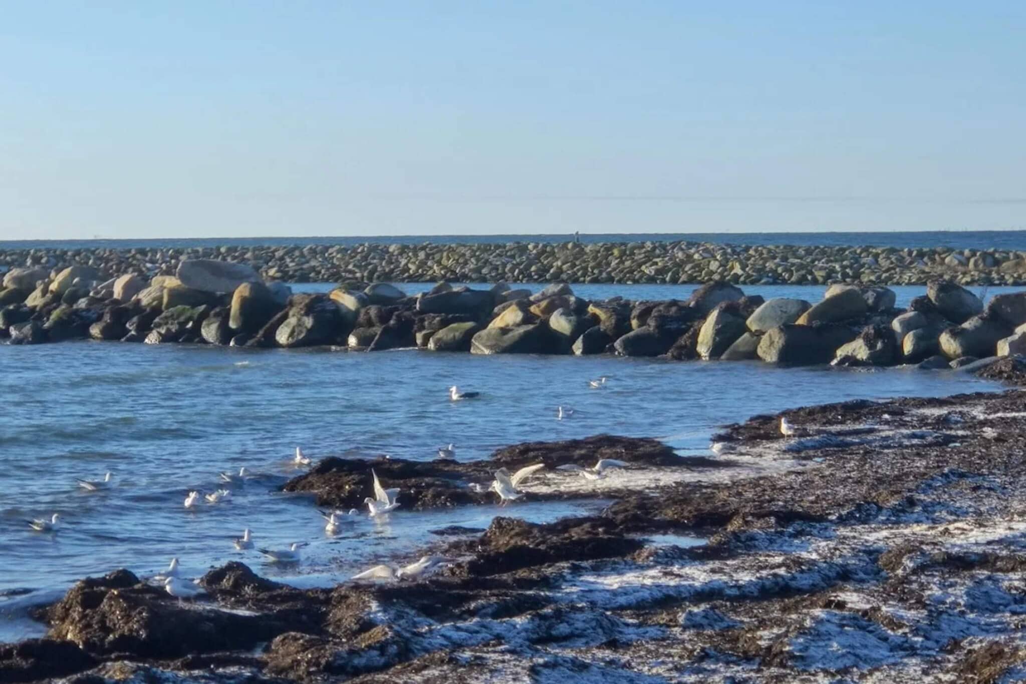 Maison de vacances pour 6 a Dannemare - Vue sur l'eau