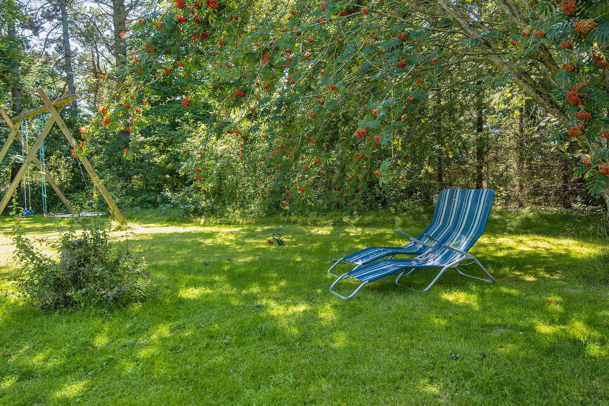6 persoons vakantie huis in Glesborg - Uitzicht