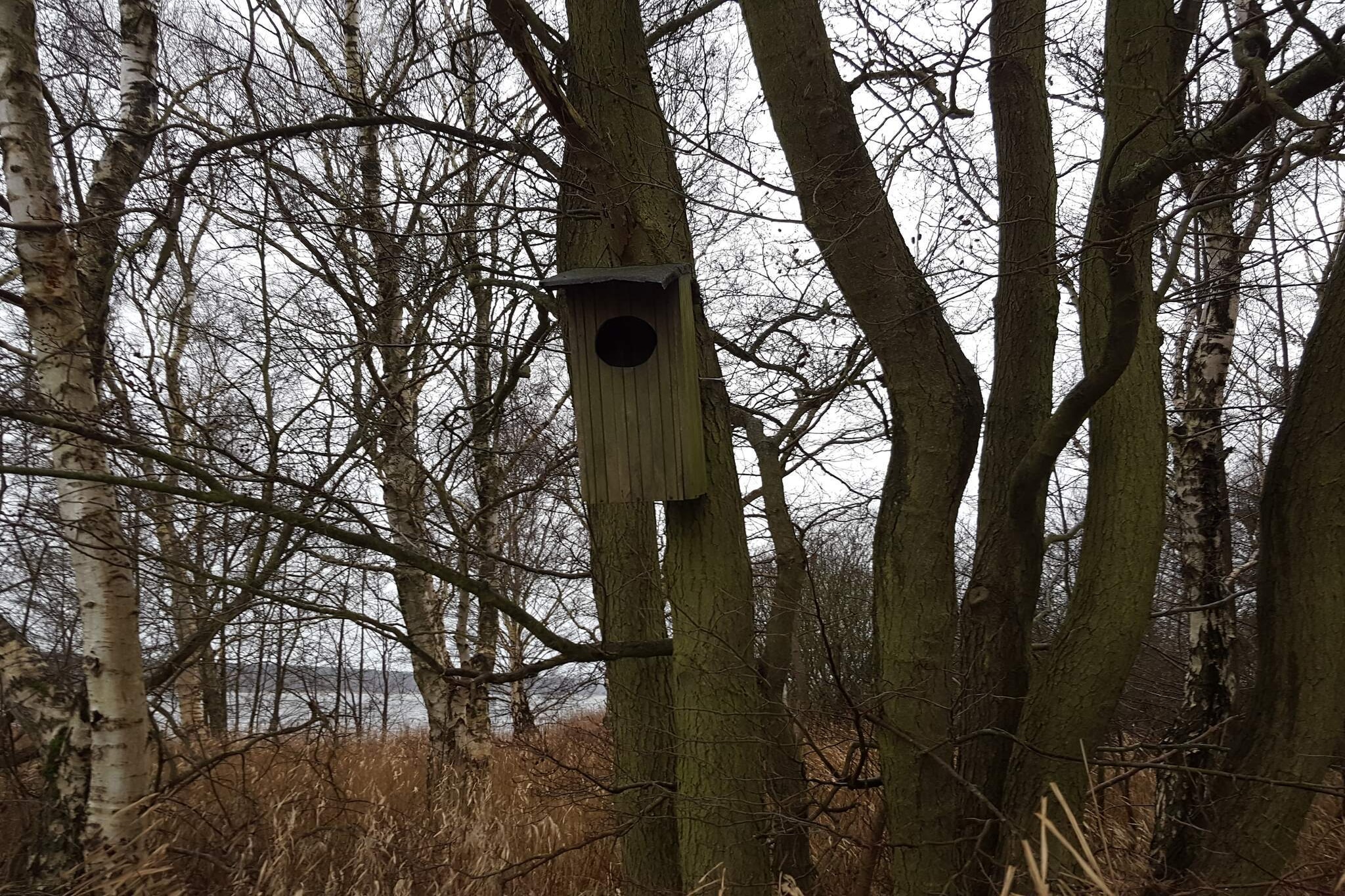 6 persoons vakantie huis in Ebeltoft-Niet-getagd