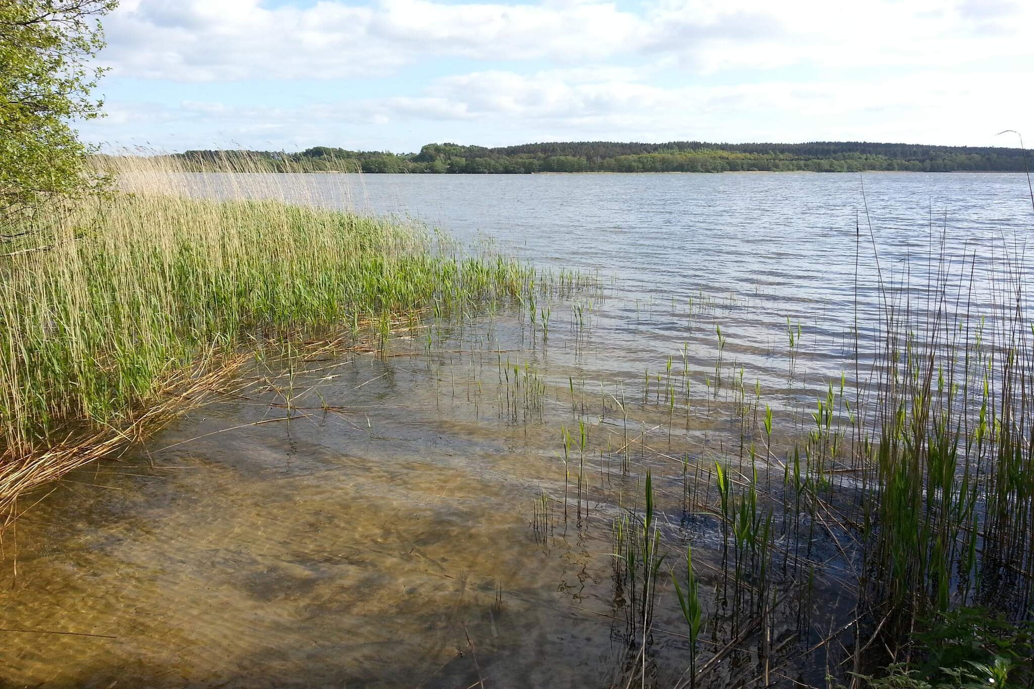 6 persoons vakantie huis in Ebeltoft - Waterzicht