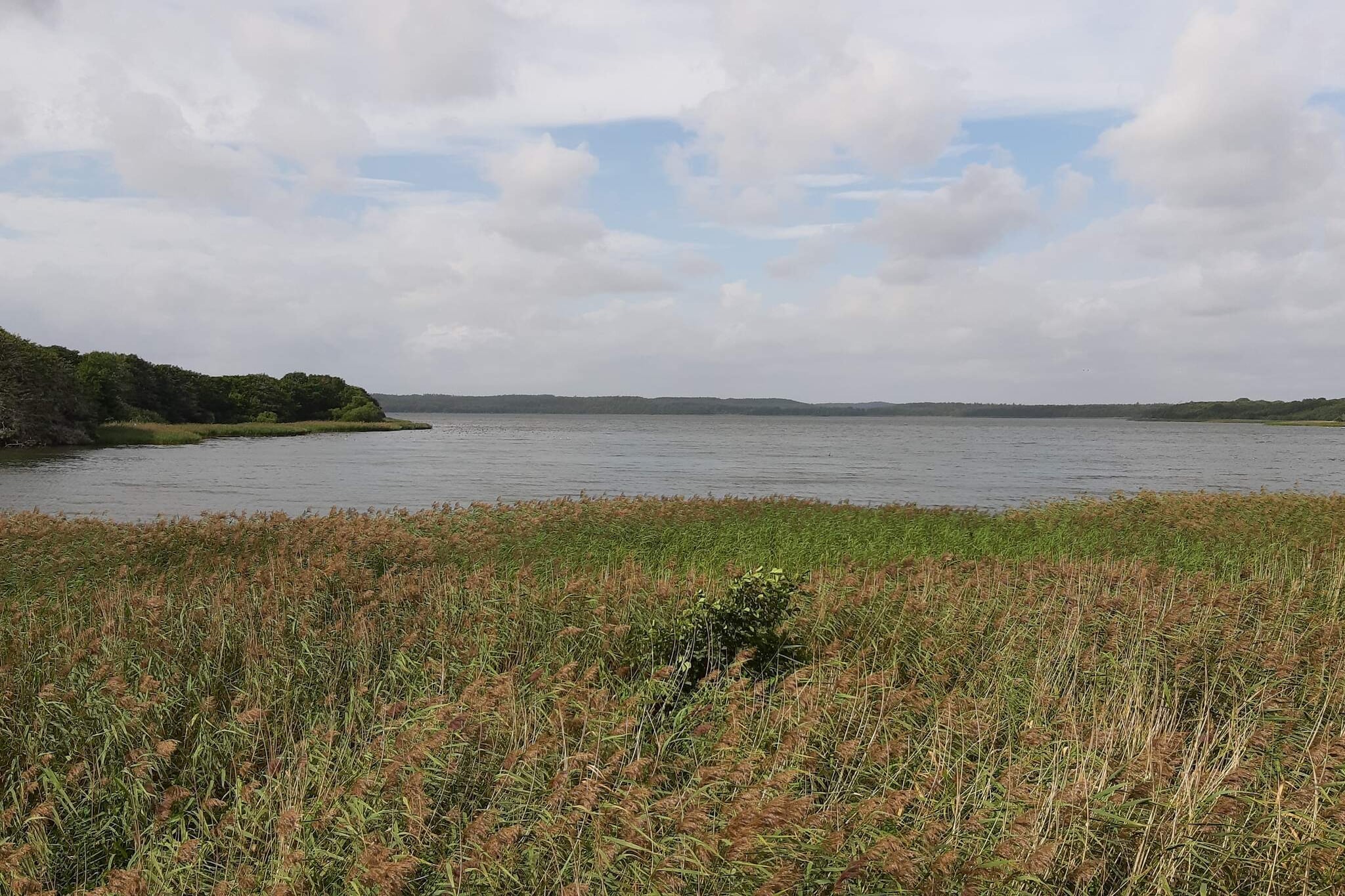 6 persoons vakantie huis in Ebeltoft - Waterzicht