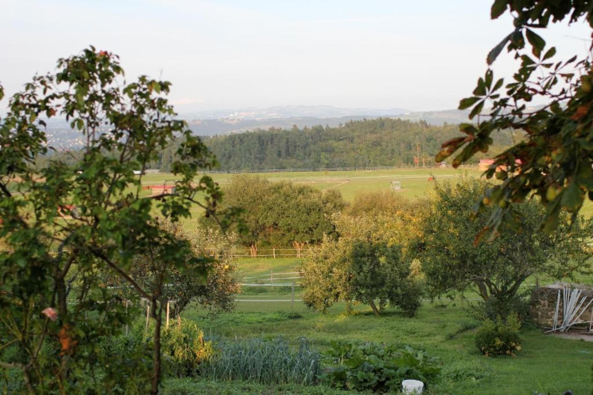 FranceComfort Domaine Les Forges 3-Gebieden zomer 20km