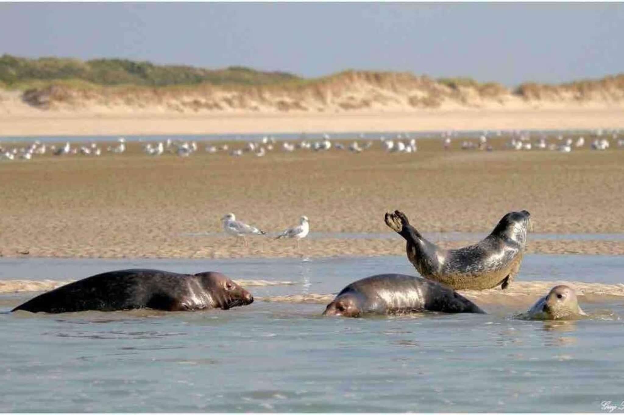 Berck sur Mer 6-Gebieden zomer 20km