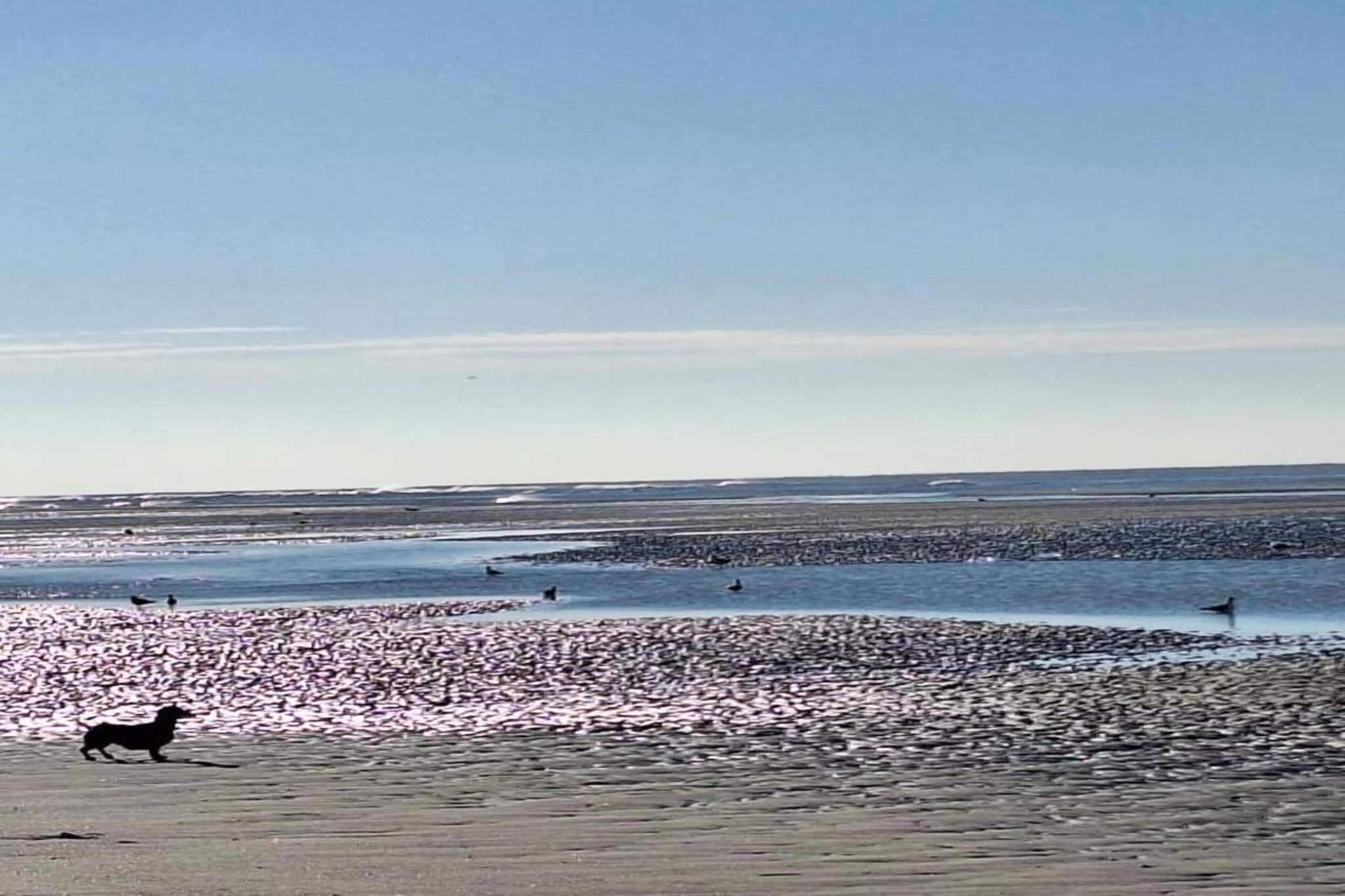 Berck sur Mer 11-Gebieden zomer 20km