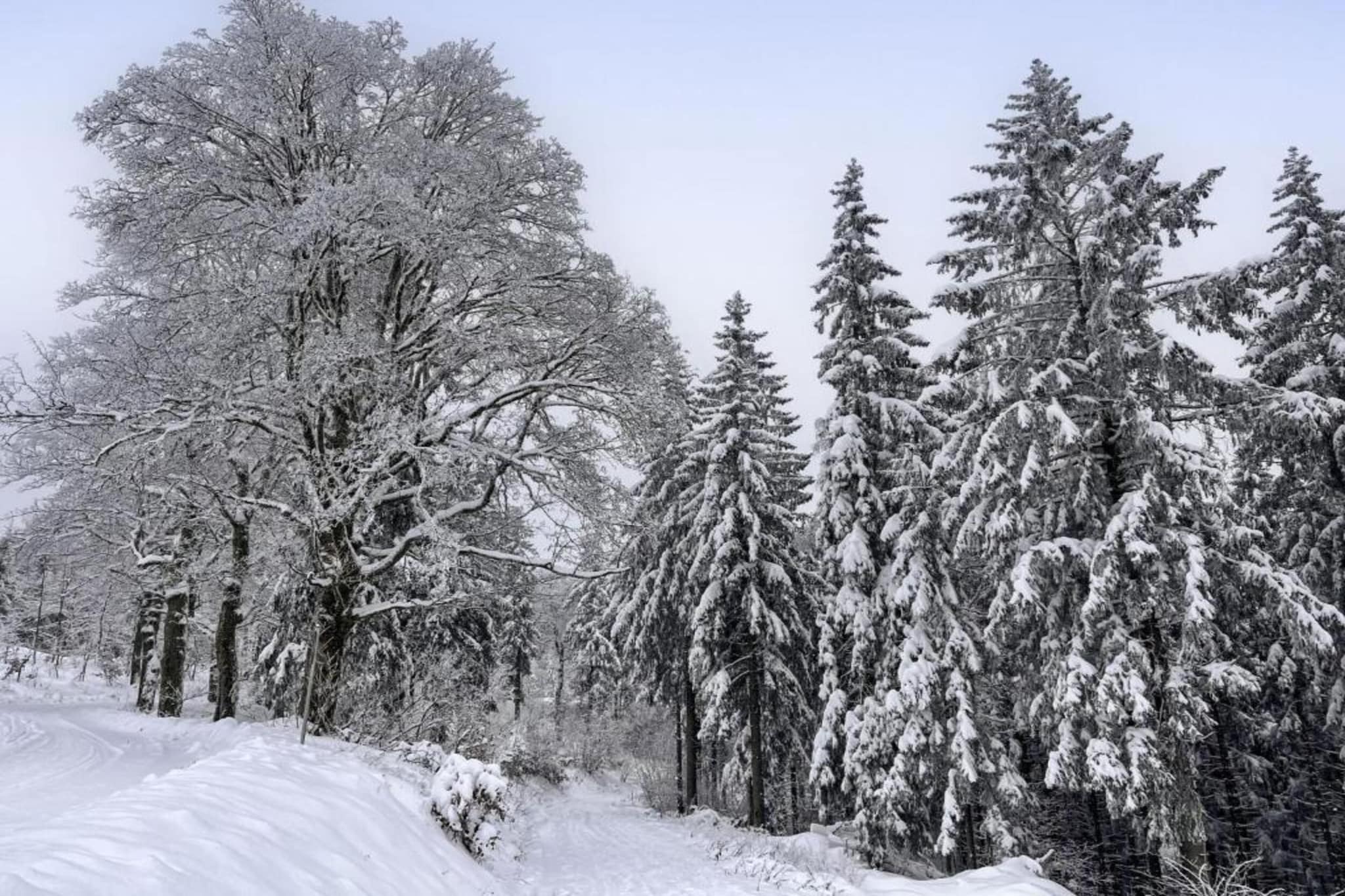 Ferienhaus Anna-Gebied winter 5km