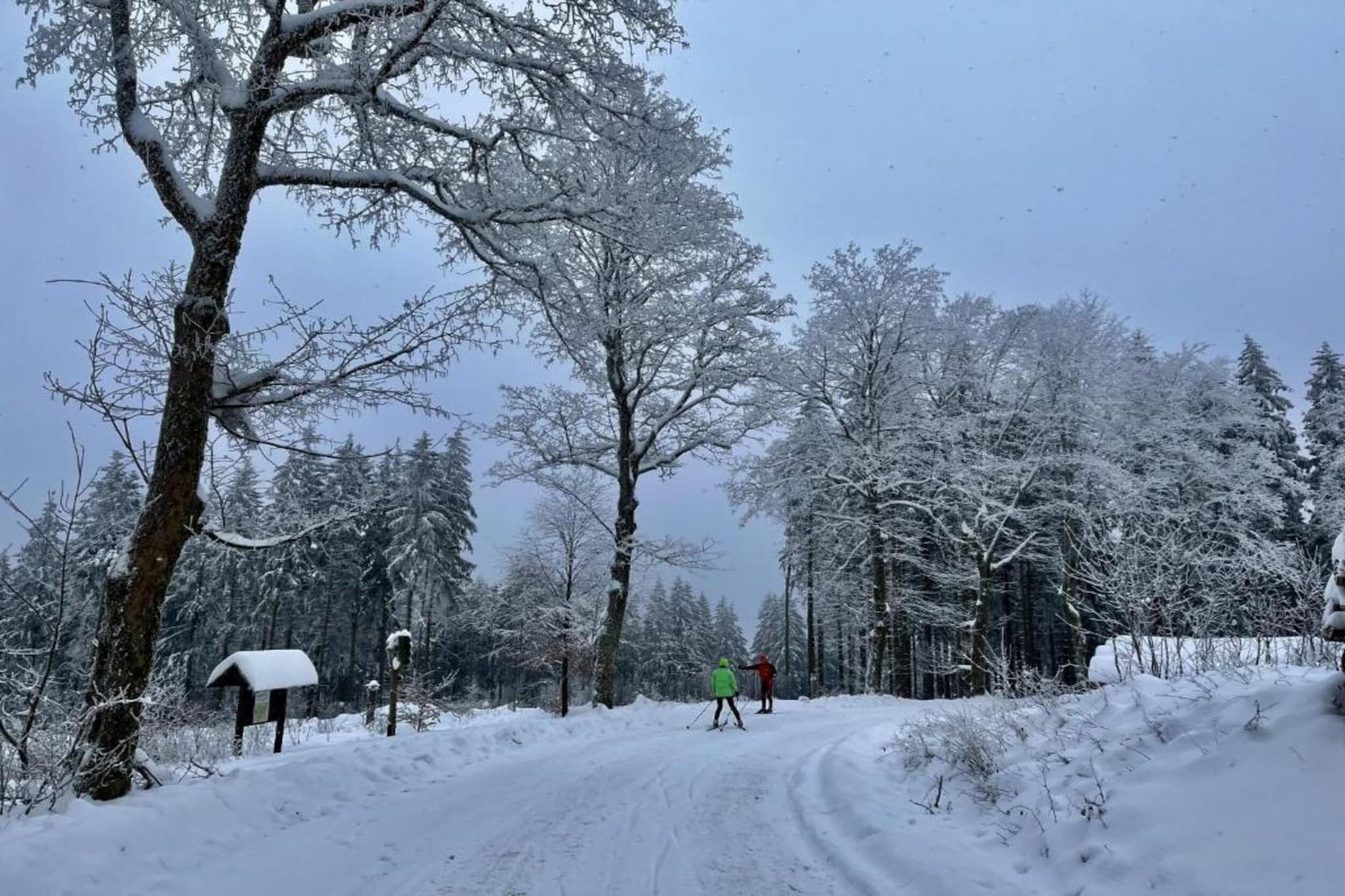Ferienhaus Anna-Gebied winter 5km