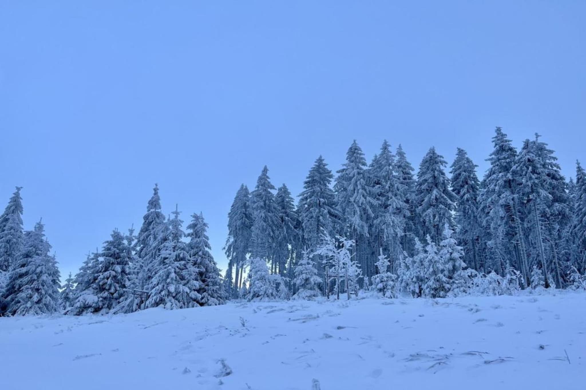 Ferienhaus Anna-Gebied winter 5km