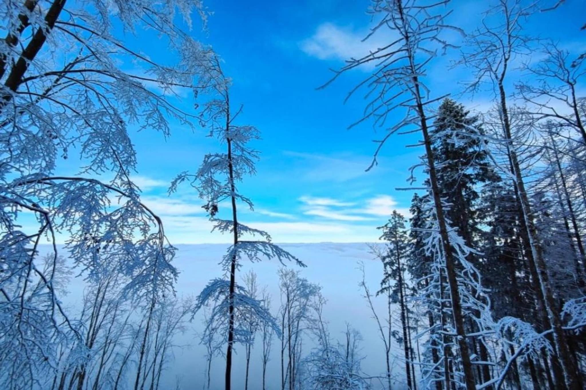 Ferienhaus Anna-Gebied winter 5km
