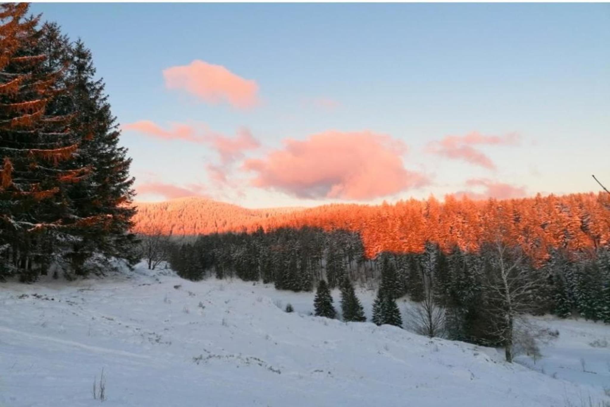 Ferienhaus Anna-Gebied winter 5km