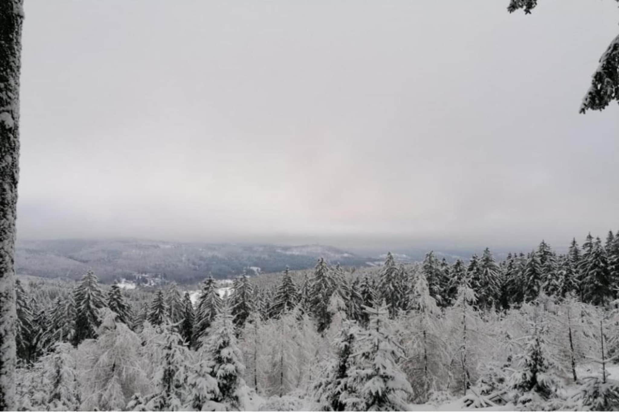 Ferienhaus Anna-Gebied winter 5km