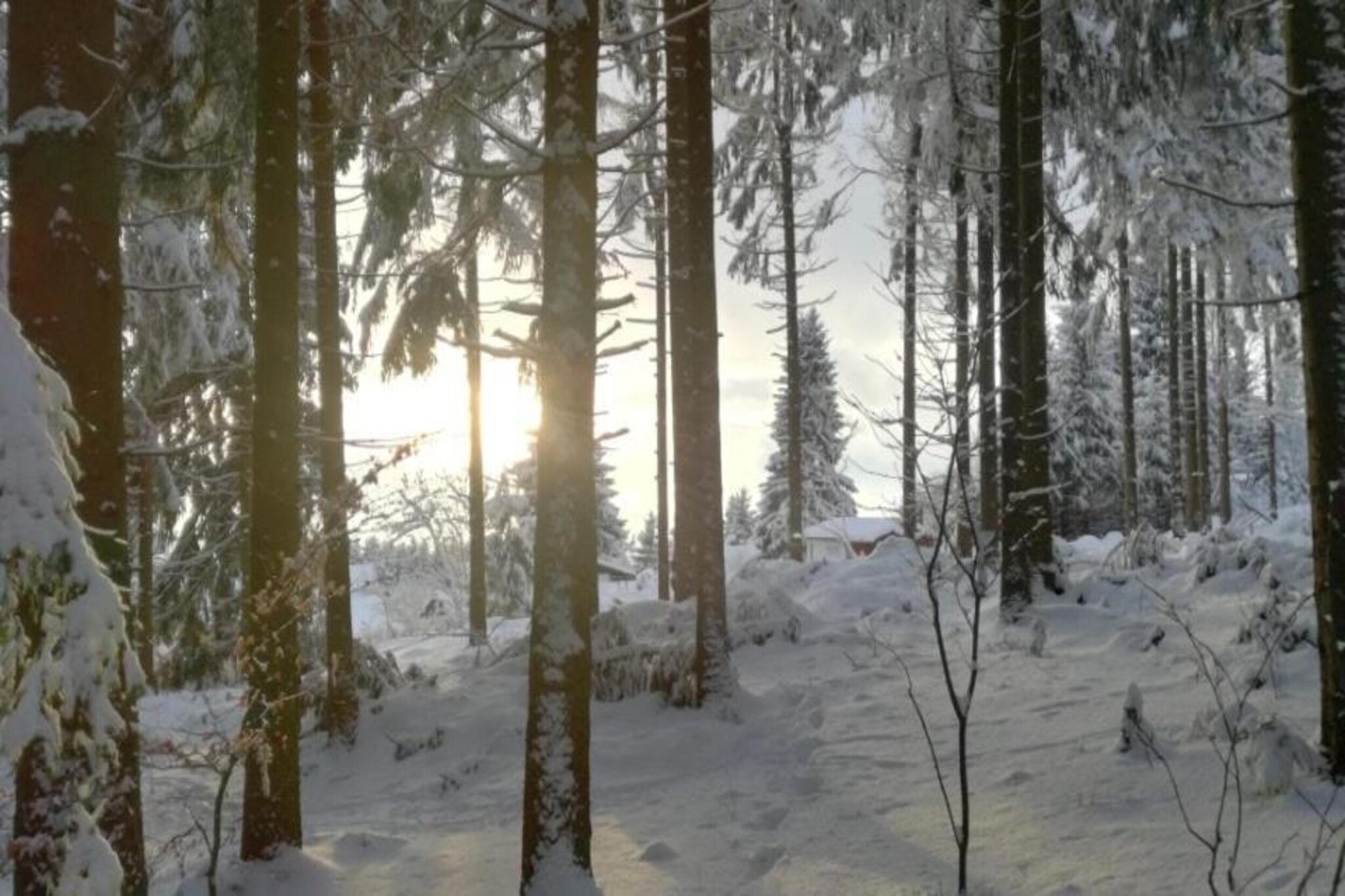 Ferienhaus Anna-Gebied winter 5km