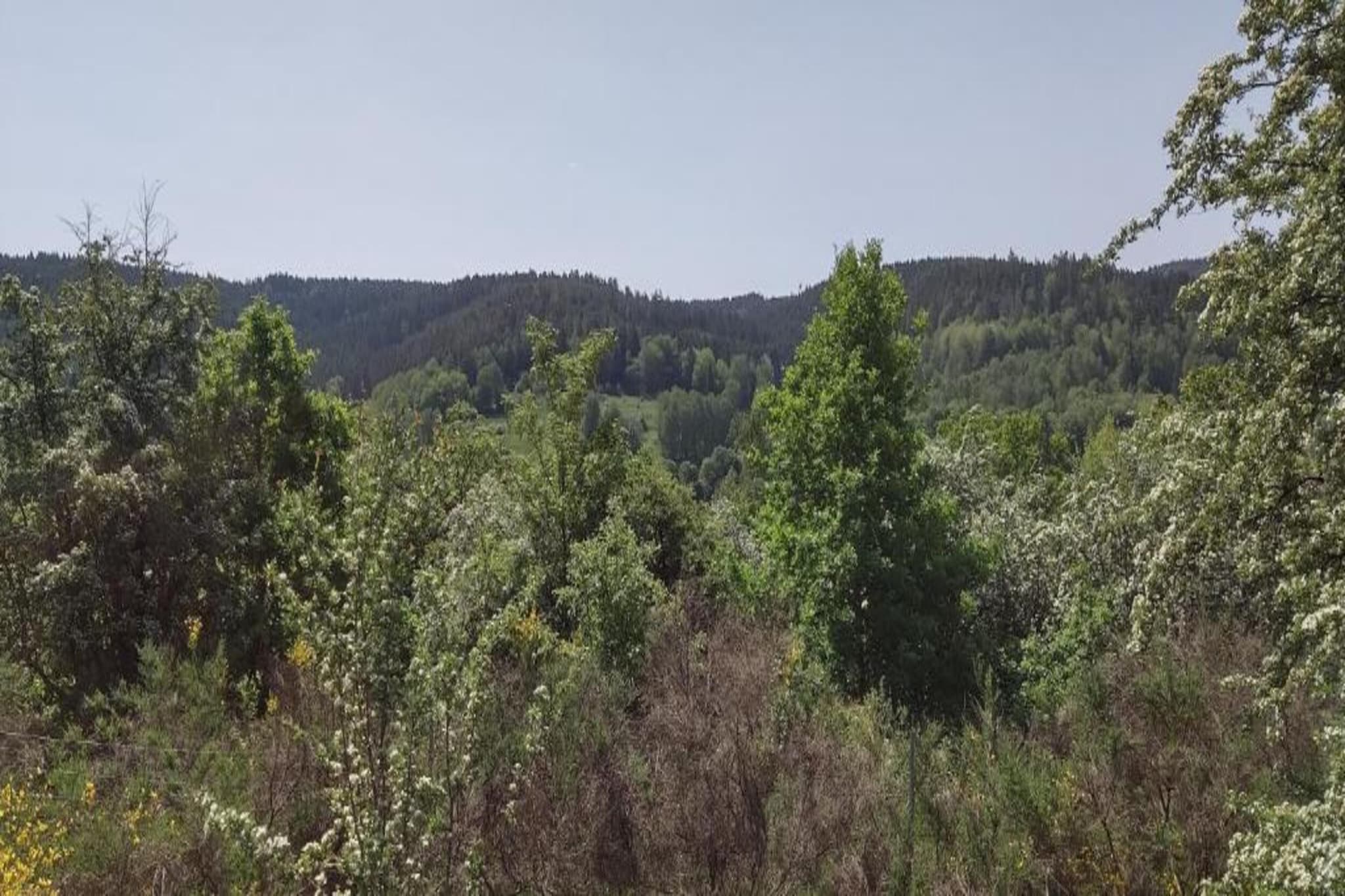 Ferienhaus Konrad-Zones d'été à 20 km