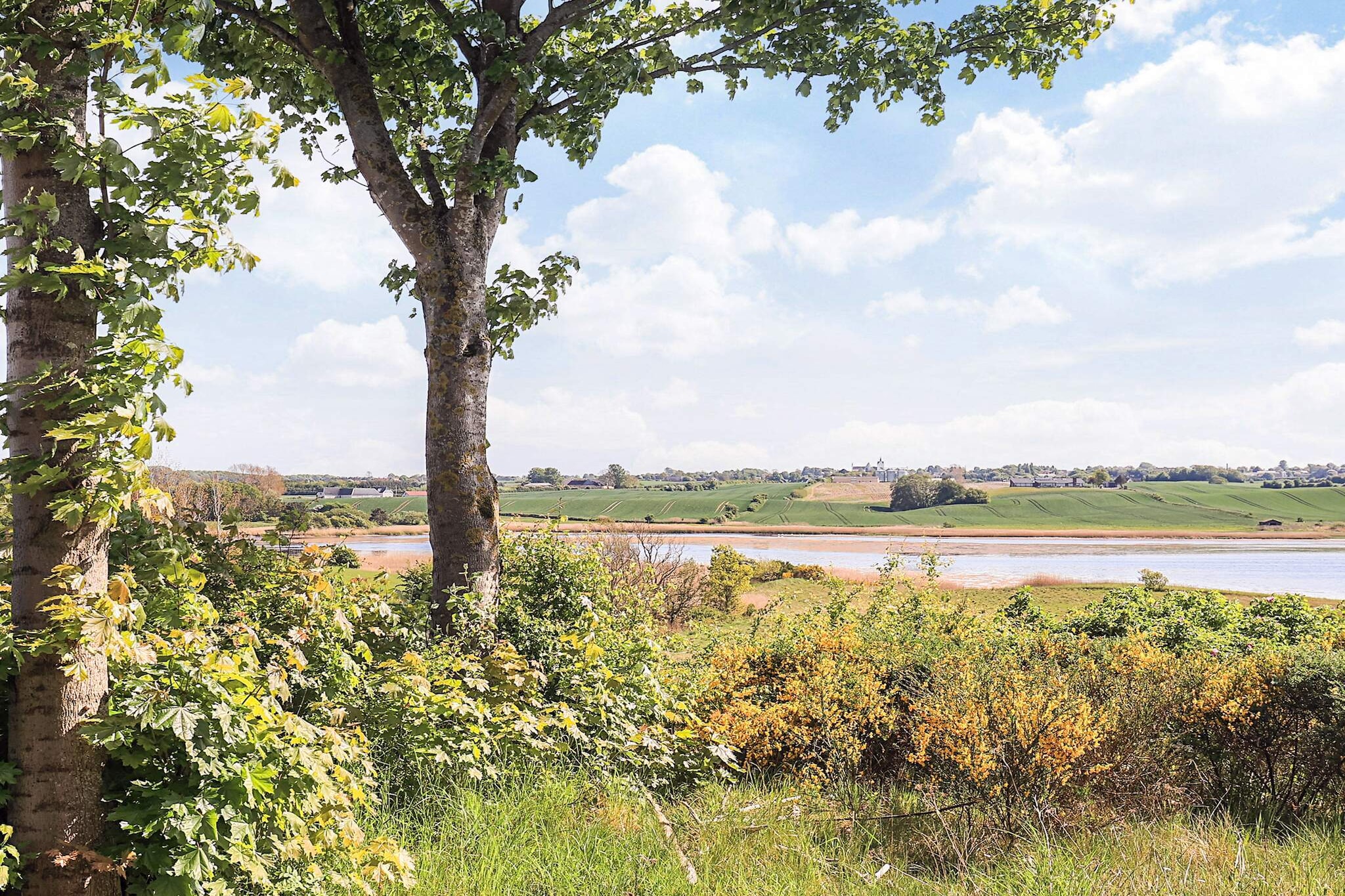 12 persoons vakantie huis in Millinge-Waterzicht