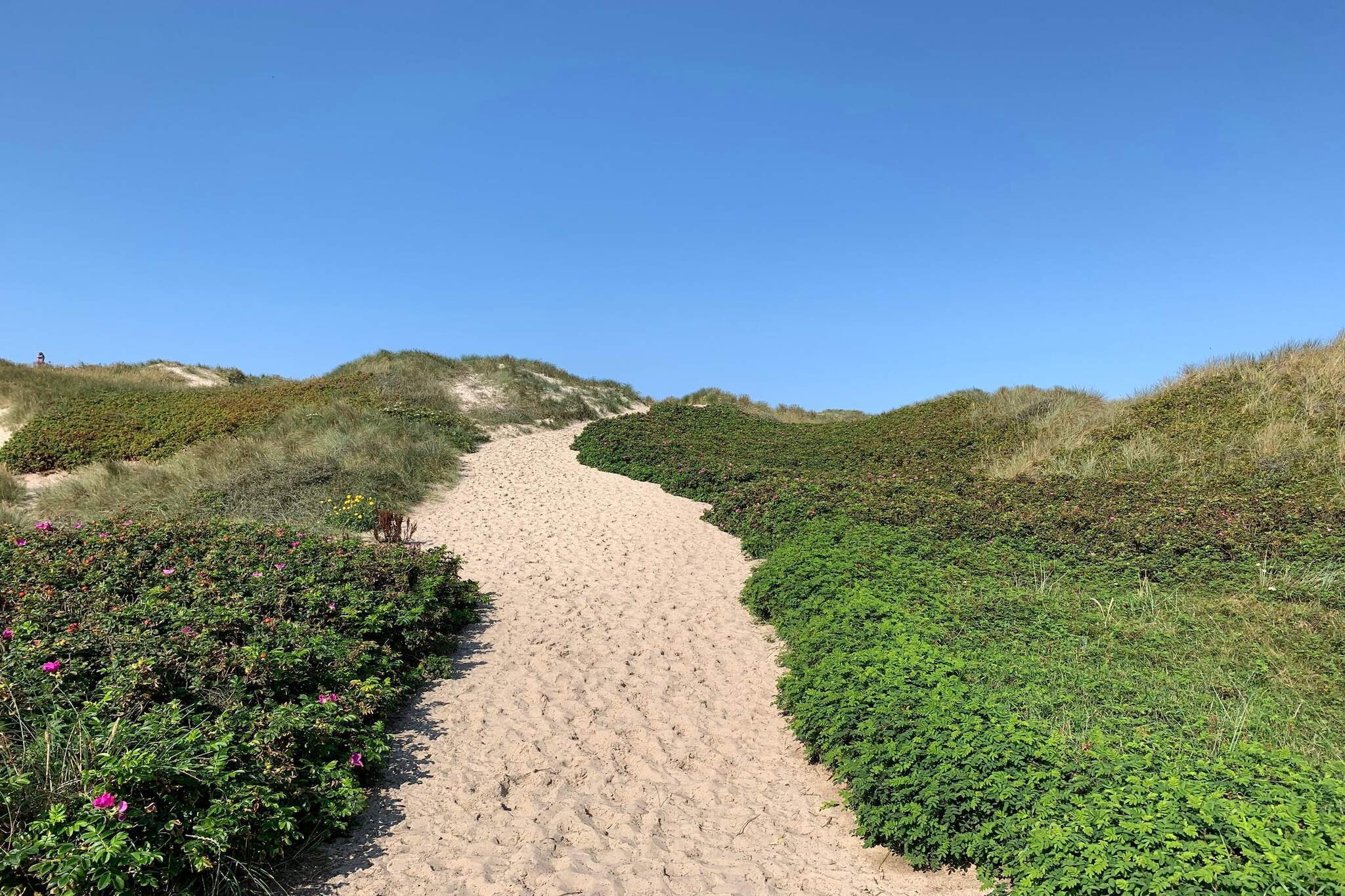 6 persoons vakantie huis in Hvide Sande