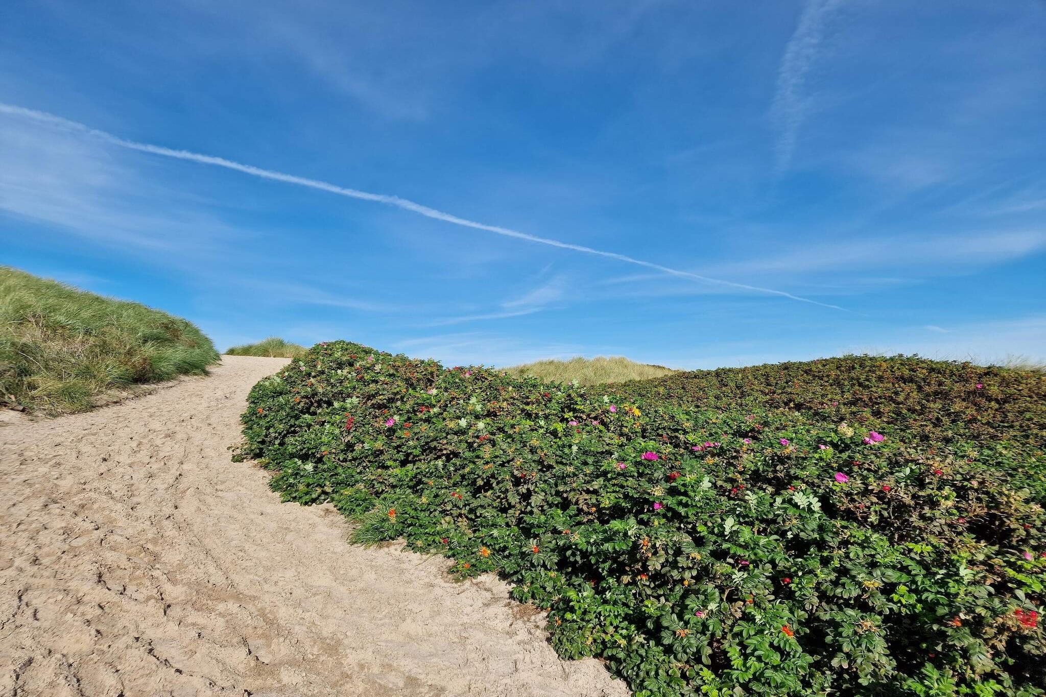 6 persoons vakantie huis in Hvide Sande-Niet-getagd