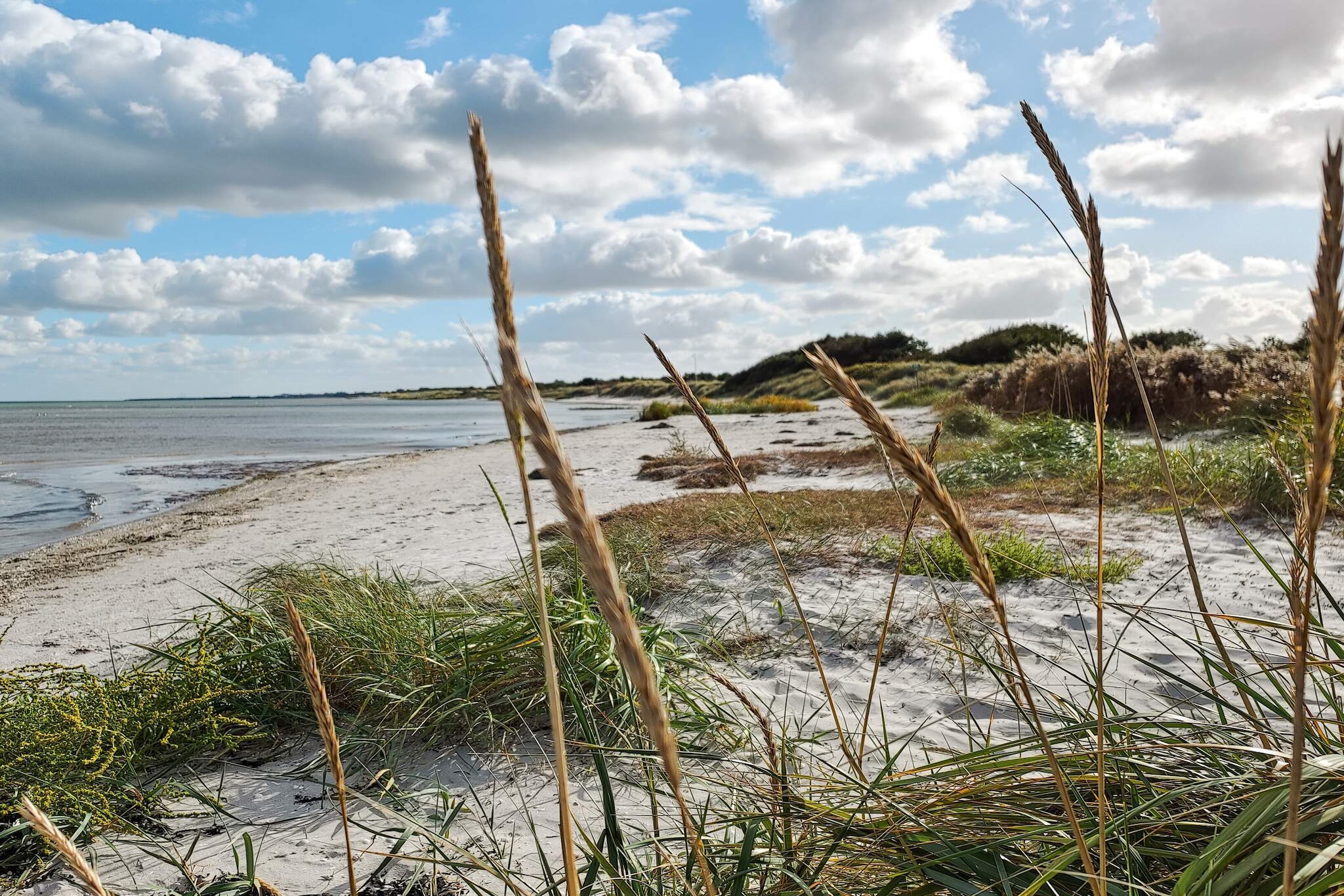8 persoons vakantie huis in Væggerløse - Waterzicht