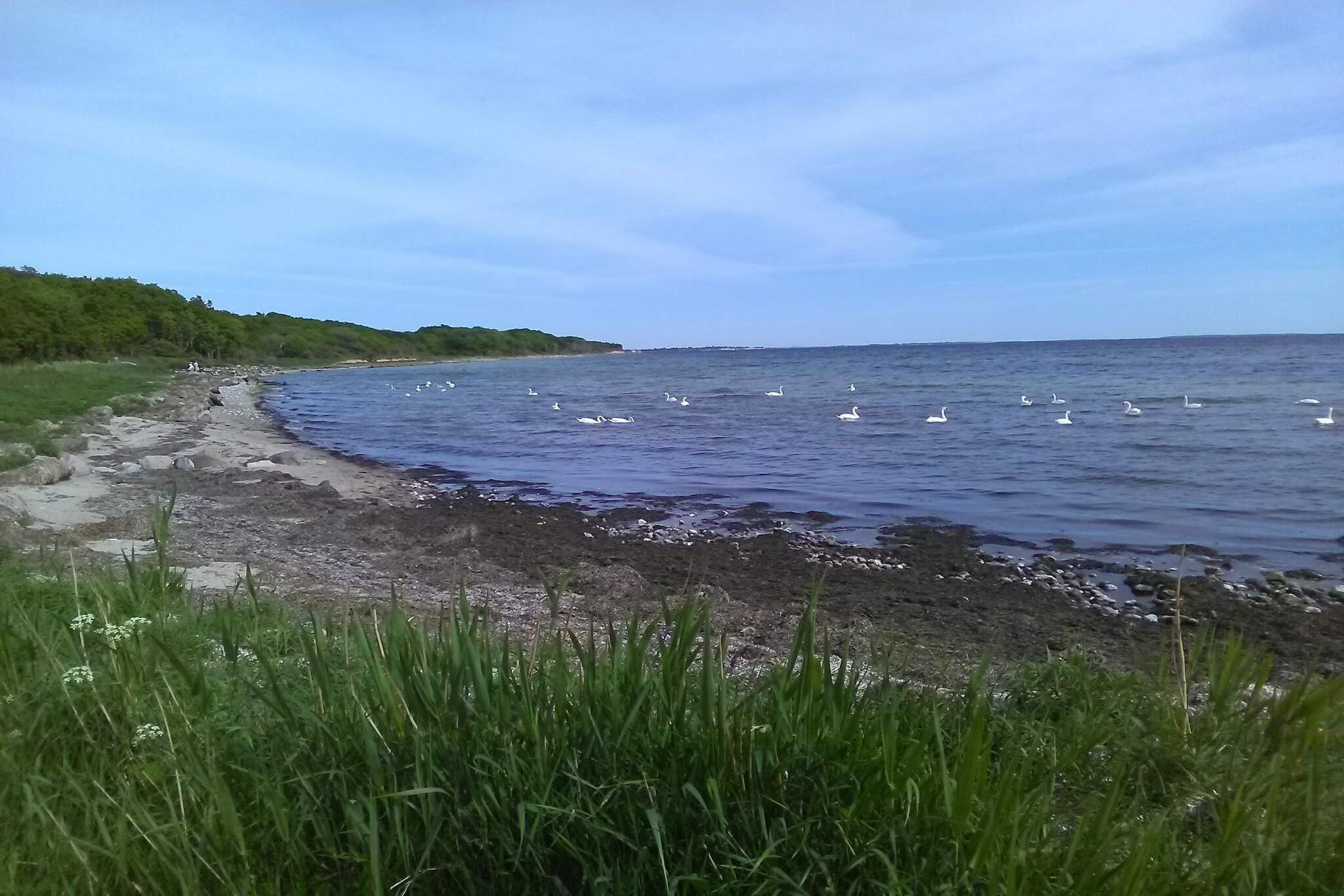 Maison de vacances pour 4 a Karrebæksminde - Vue sur l'eau