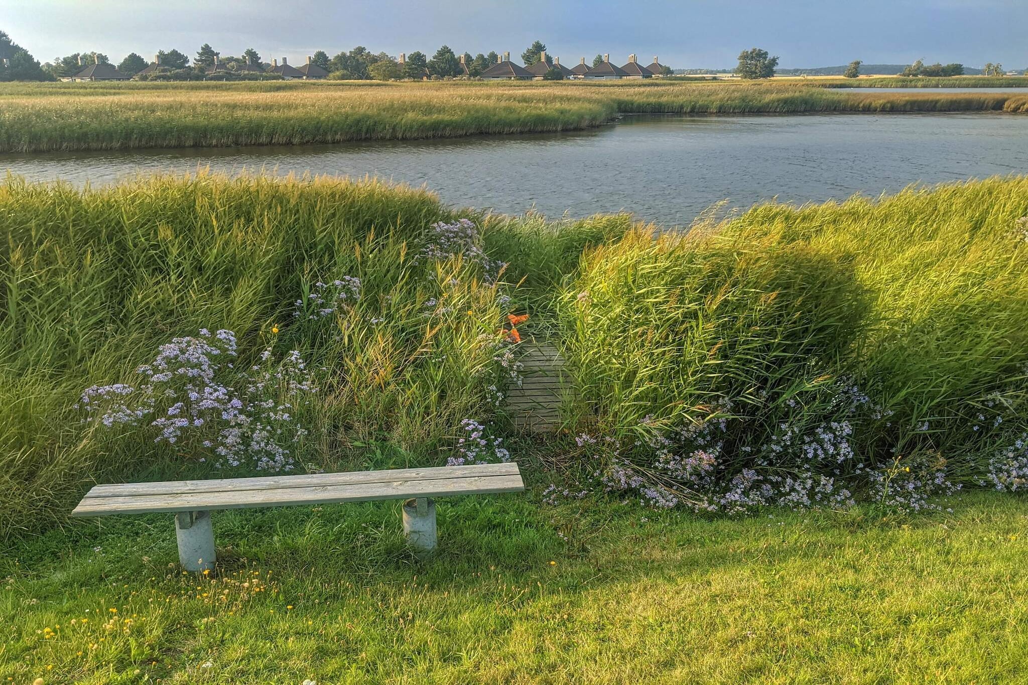 Maison de vacances pour 4 a Karrebæksminde - Vue sur l'eau
