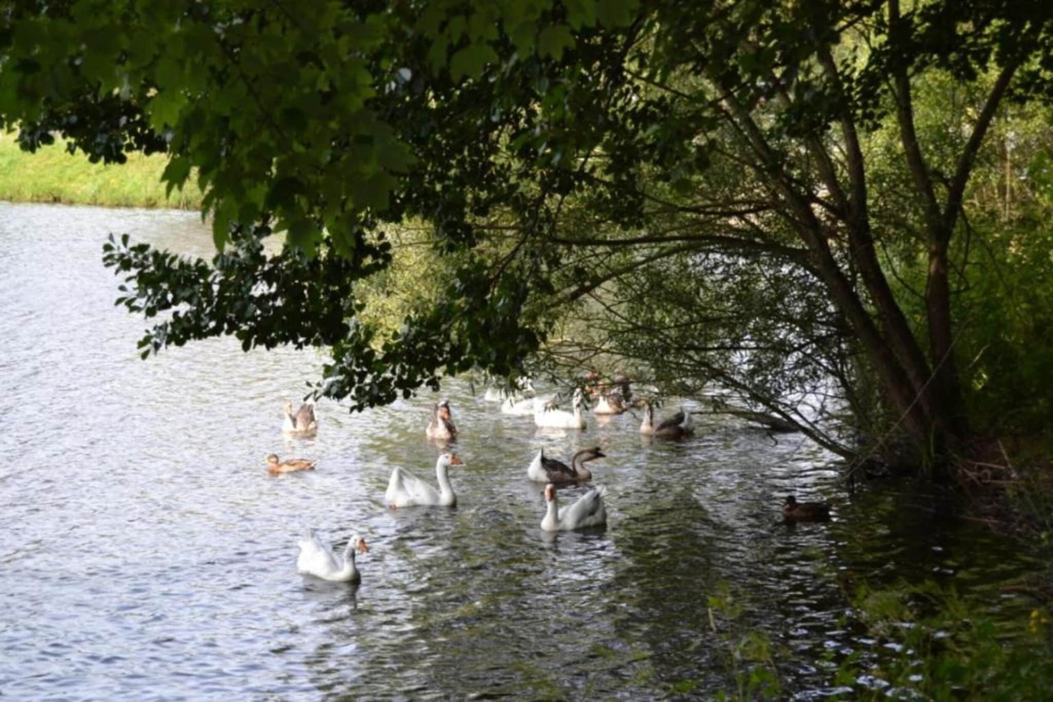 Les Doyards 4-Gebieden zomer 20km