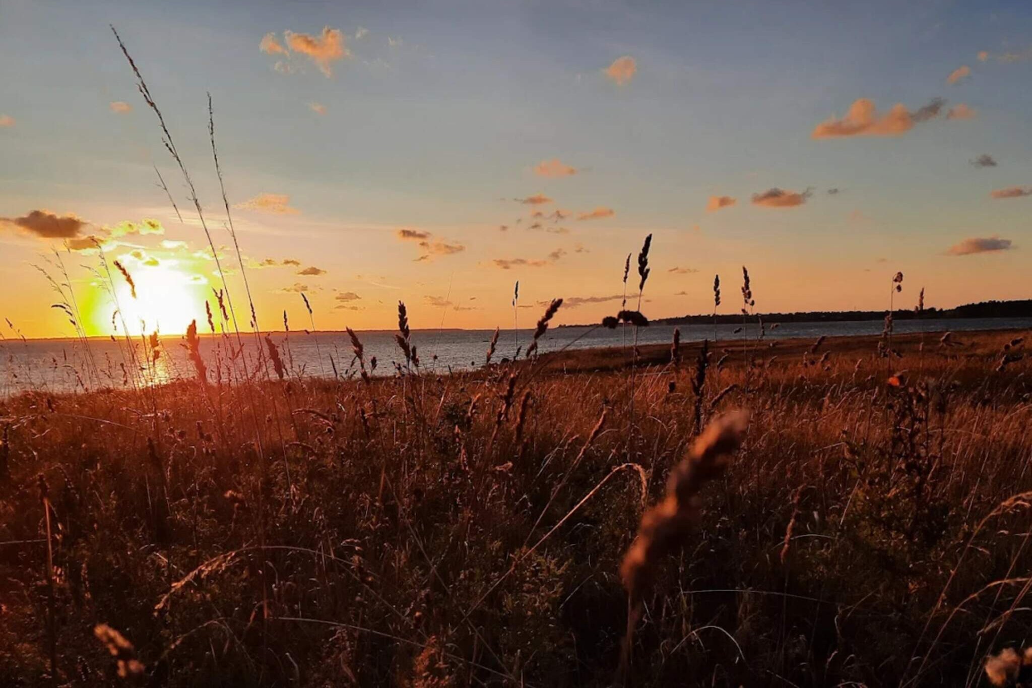 Maison de vacances pour 6 a Jægerspris-Vue sur l'eau